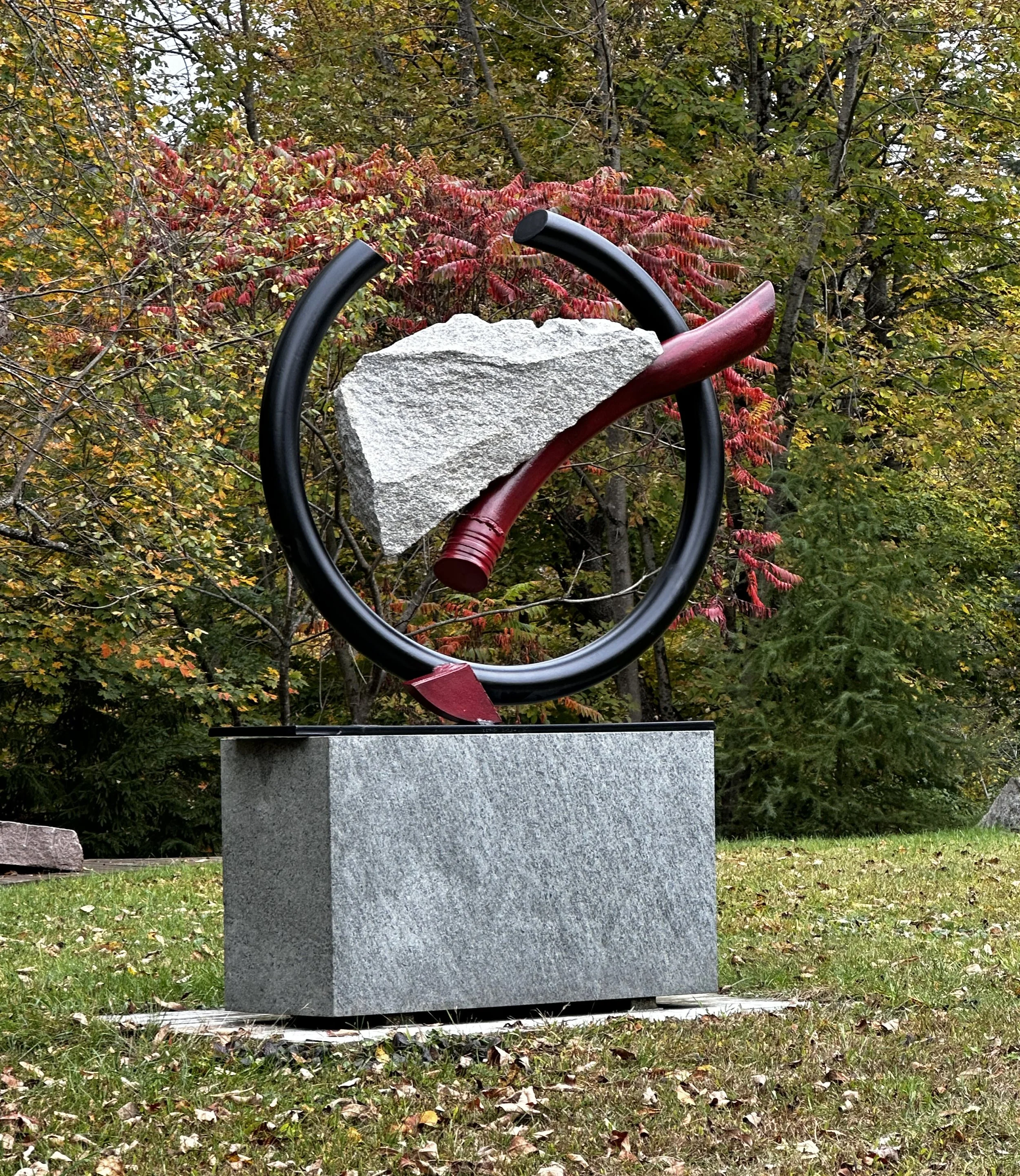SisyCir_unda_stn60_fallPED.jpg