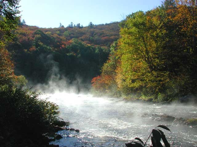 river_morning_04_000.jpg