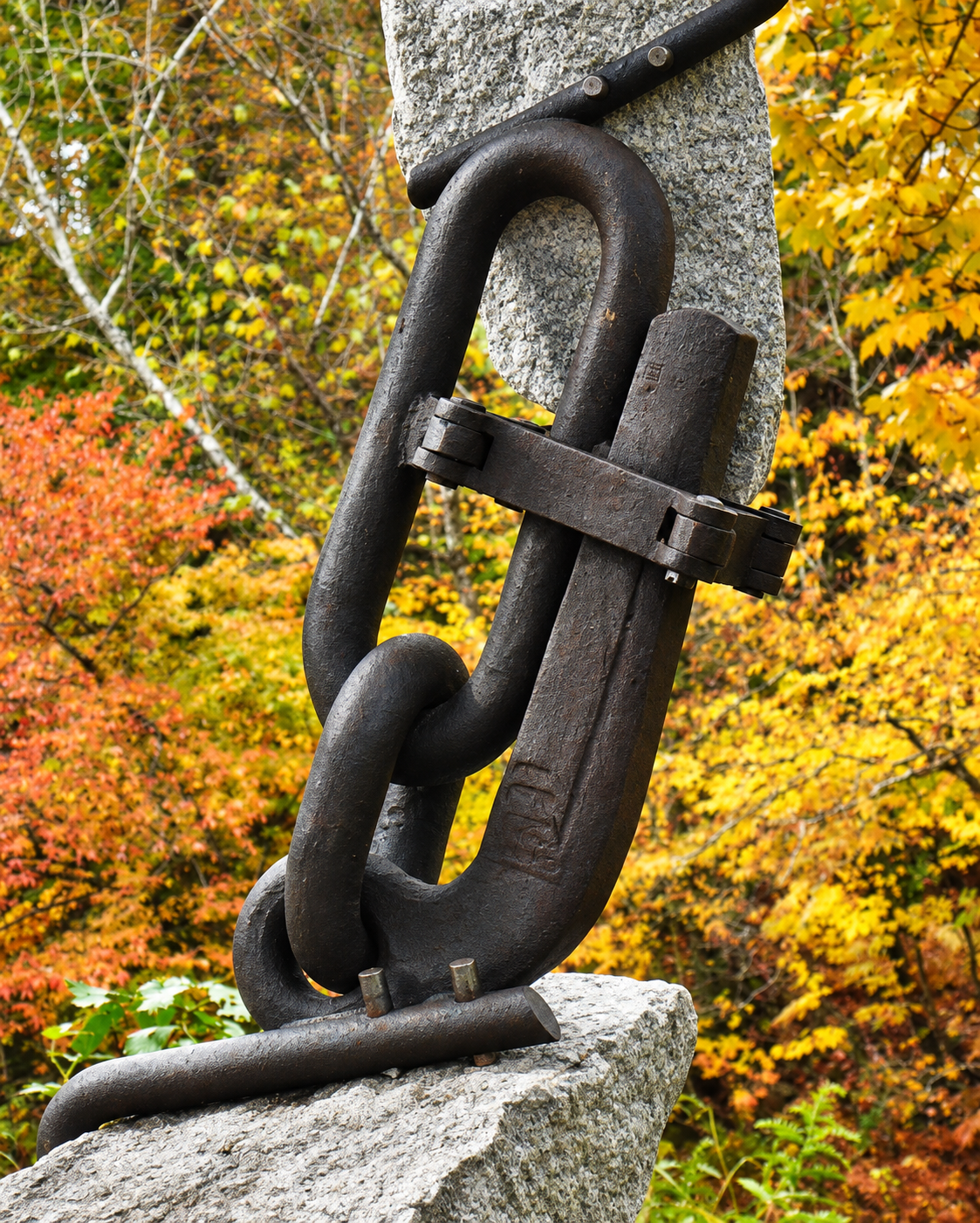 Detail - "Pelican Clip"
