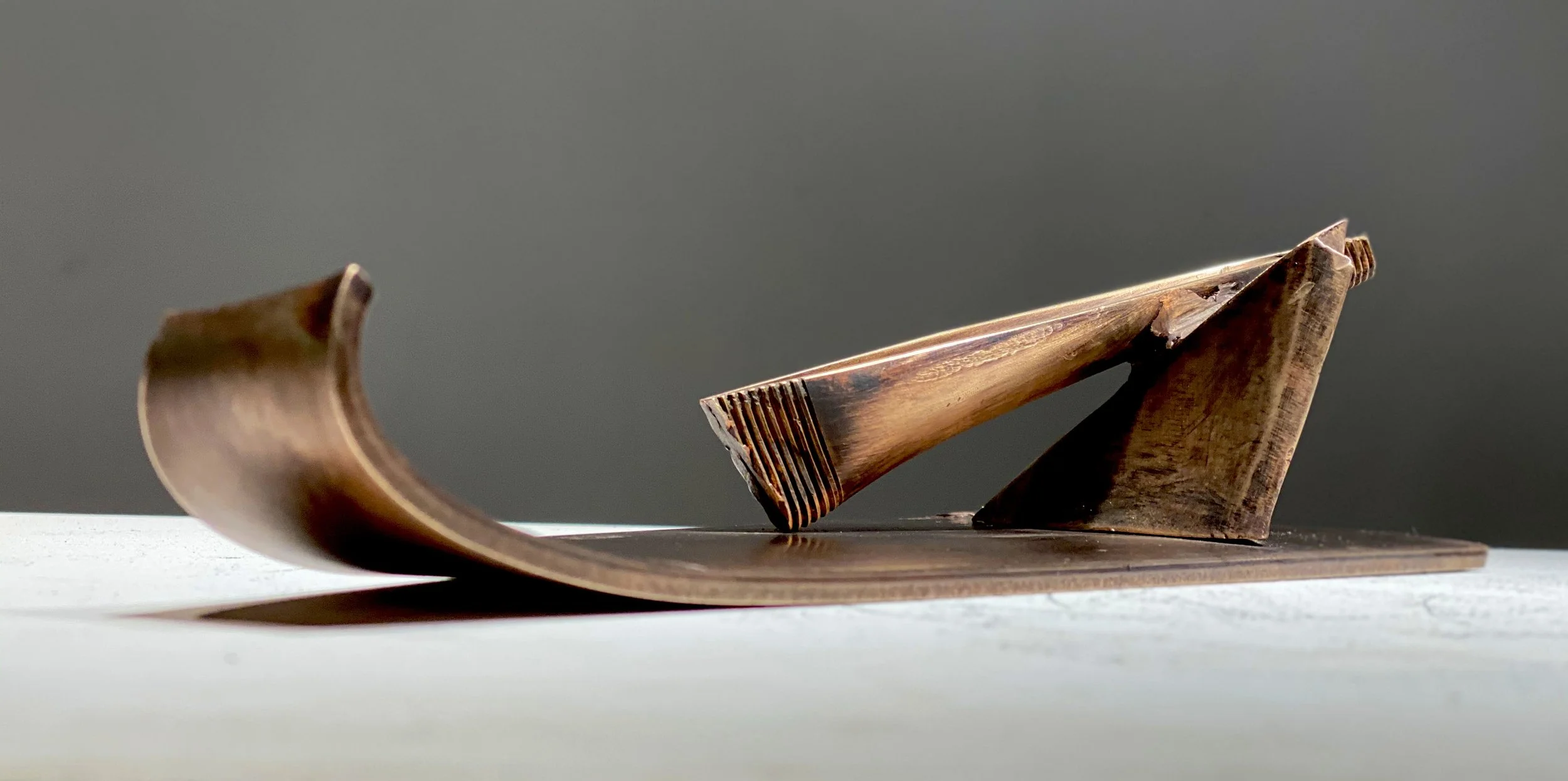 PyxisAwry_bronze-wave_low curl.jpg