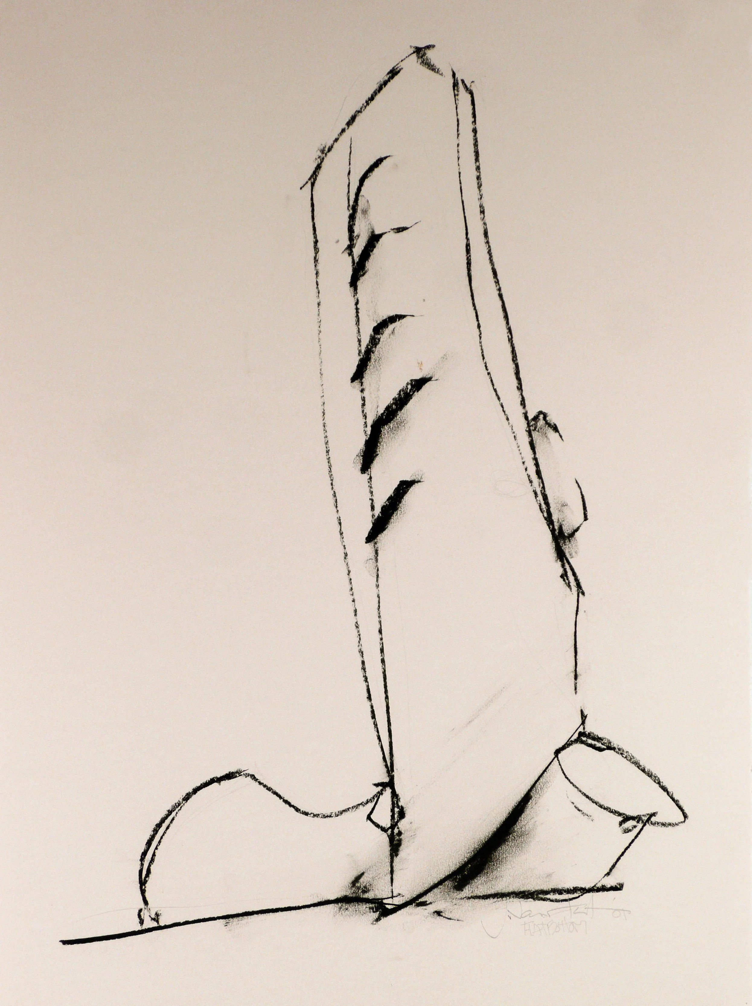 D-01-02_Flatbottom_bw_30x22.jpg