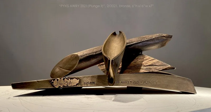 Pyxis Awry 2021 (Plunge II)  (T-21-08)