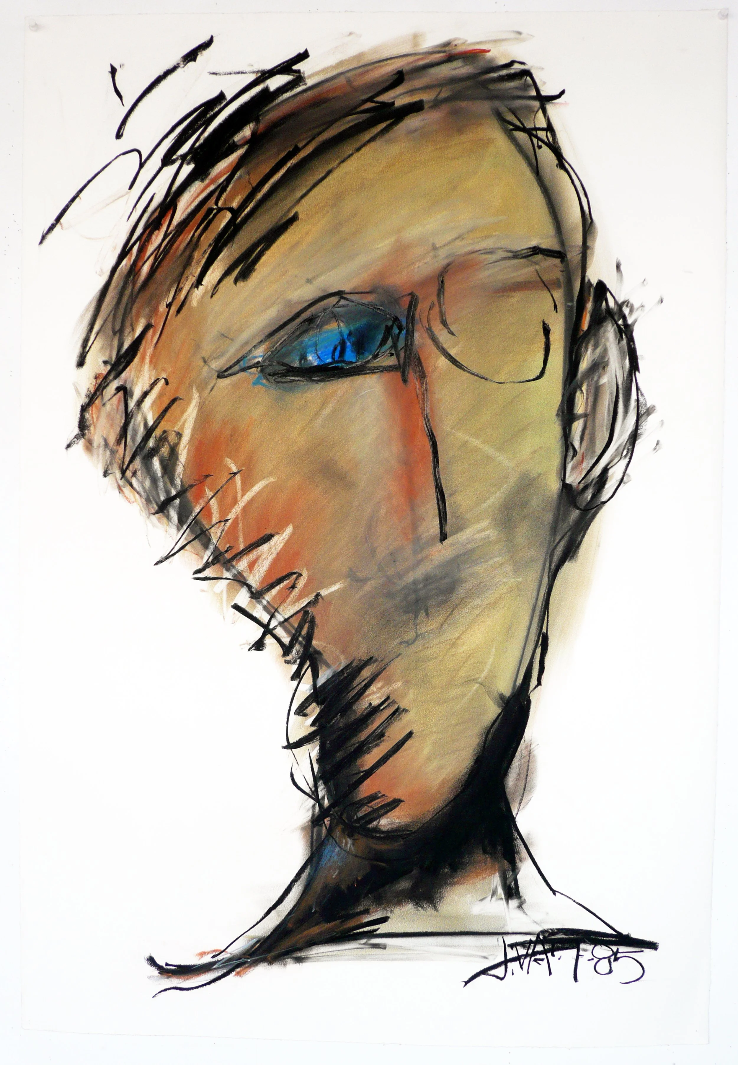 85_7_Head_41x20.jpg