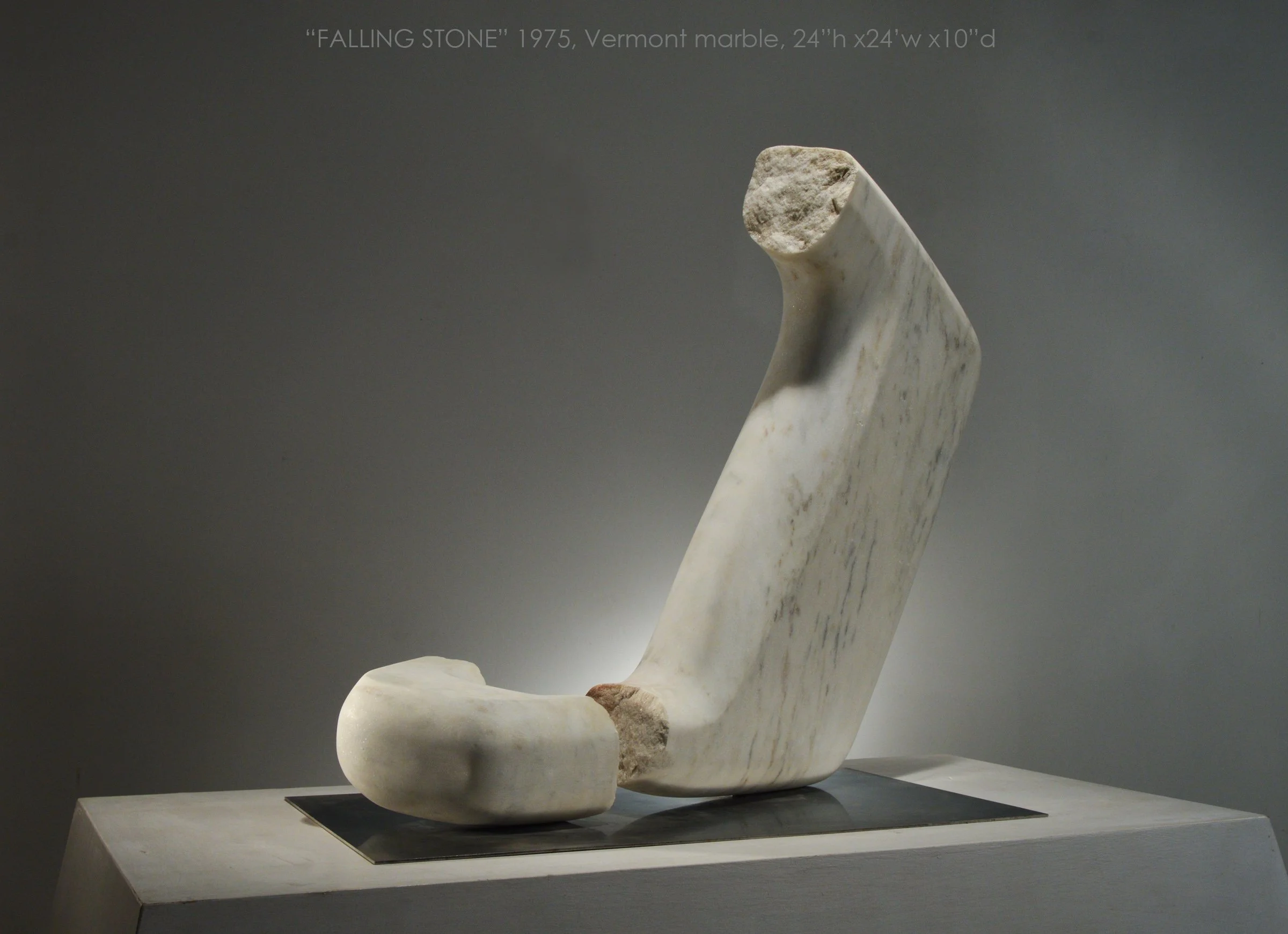 Falling Stone120backtBESTtxt.jpg