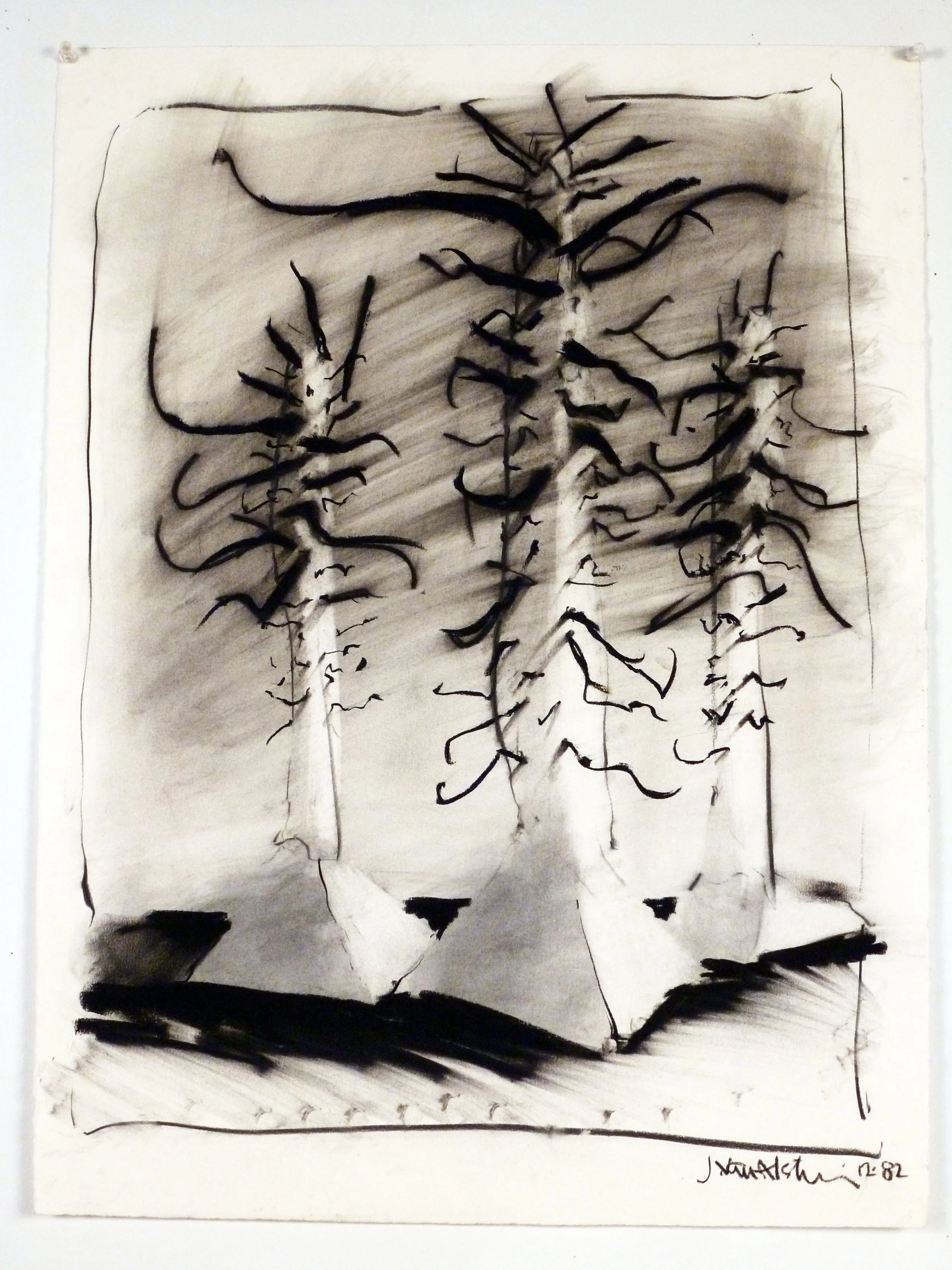 82_D-82-01Totems w Branches.jpg