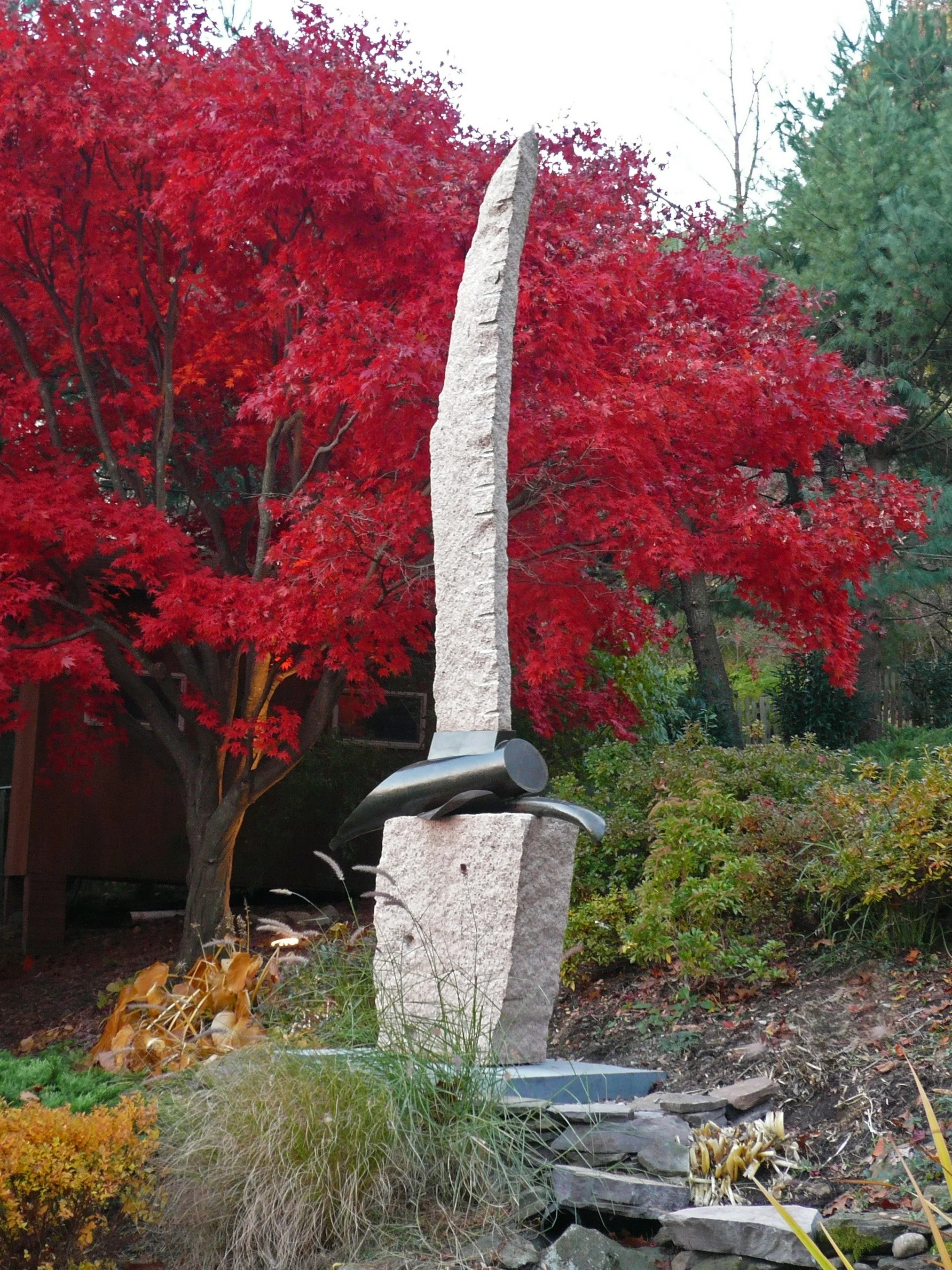 midriff_nyack_redtree_45close.jpg