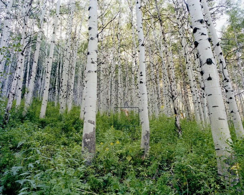 "Easel Landscape with Figure", Aspen, CO, 1980
