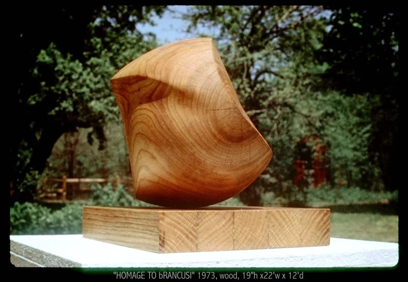 Homage To Brancusi