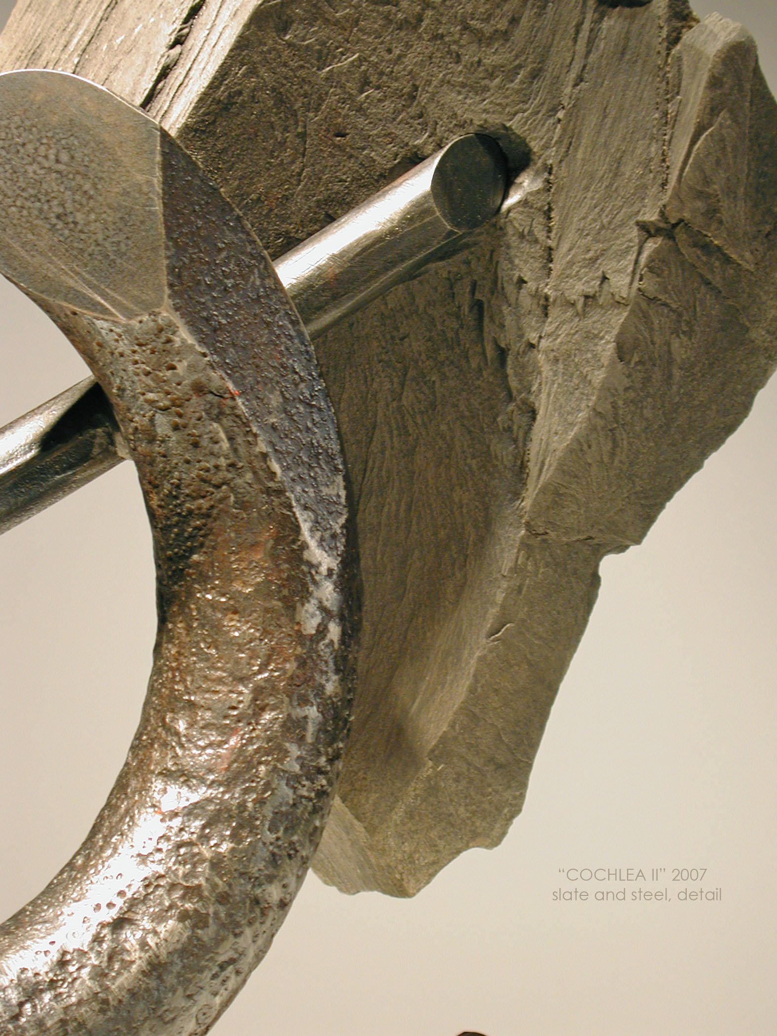 Cochlea_II_ste_det.jpg