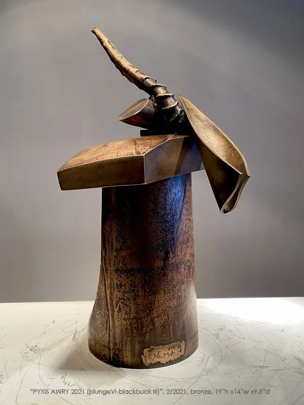 Pyxis Awry (Plunge VI-Blackbuck II)  (T-21-13)