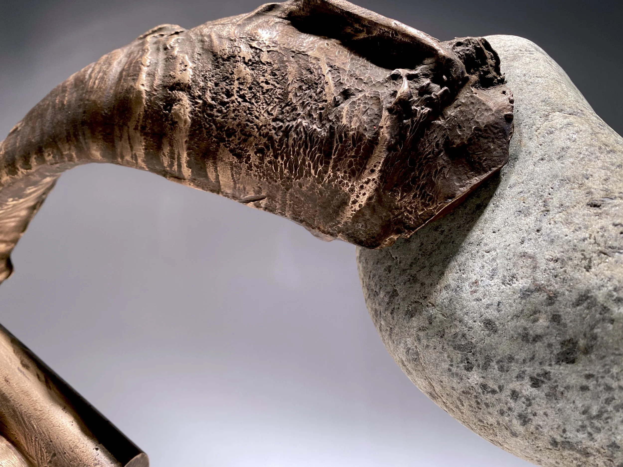Cudgel2012_DETbrz.jpg