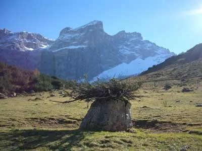 Drei_turme_pasture.jpg