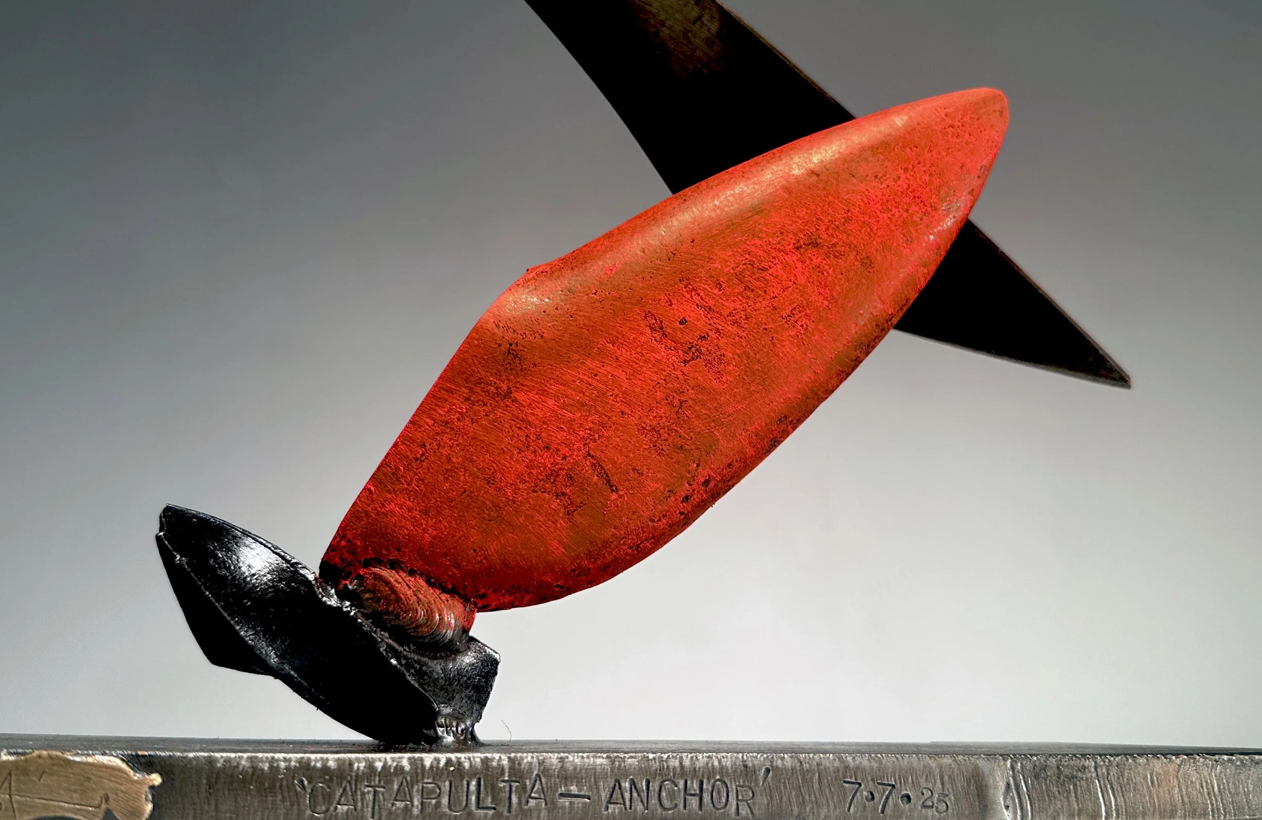 Catapulta_Anchor_DET title.jpg