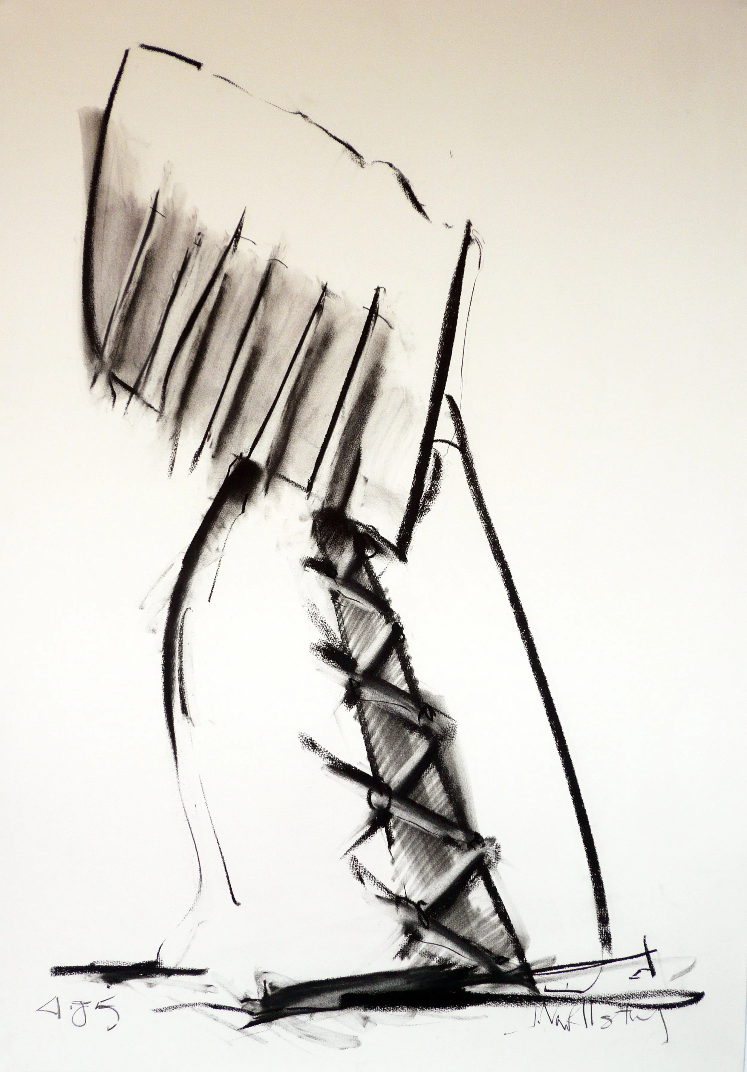 85_4_Gimp_bw_41x29 (2).jpg