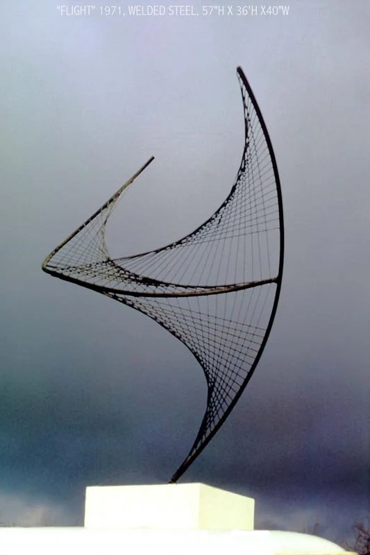 Flight