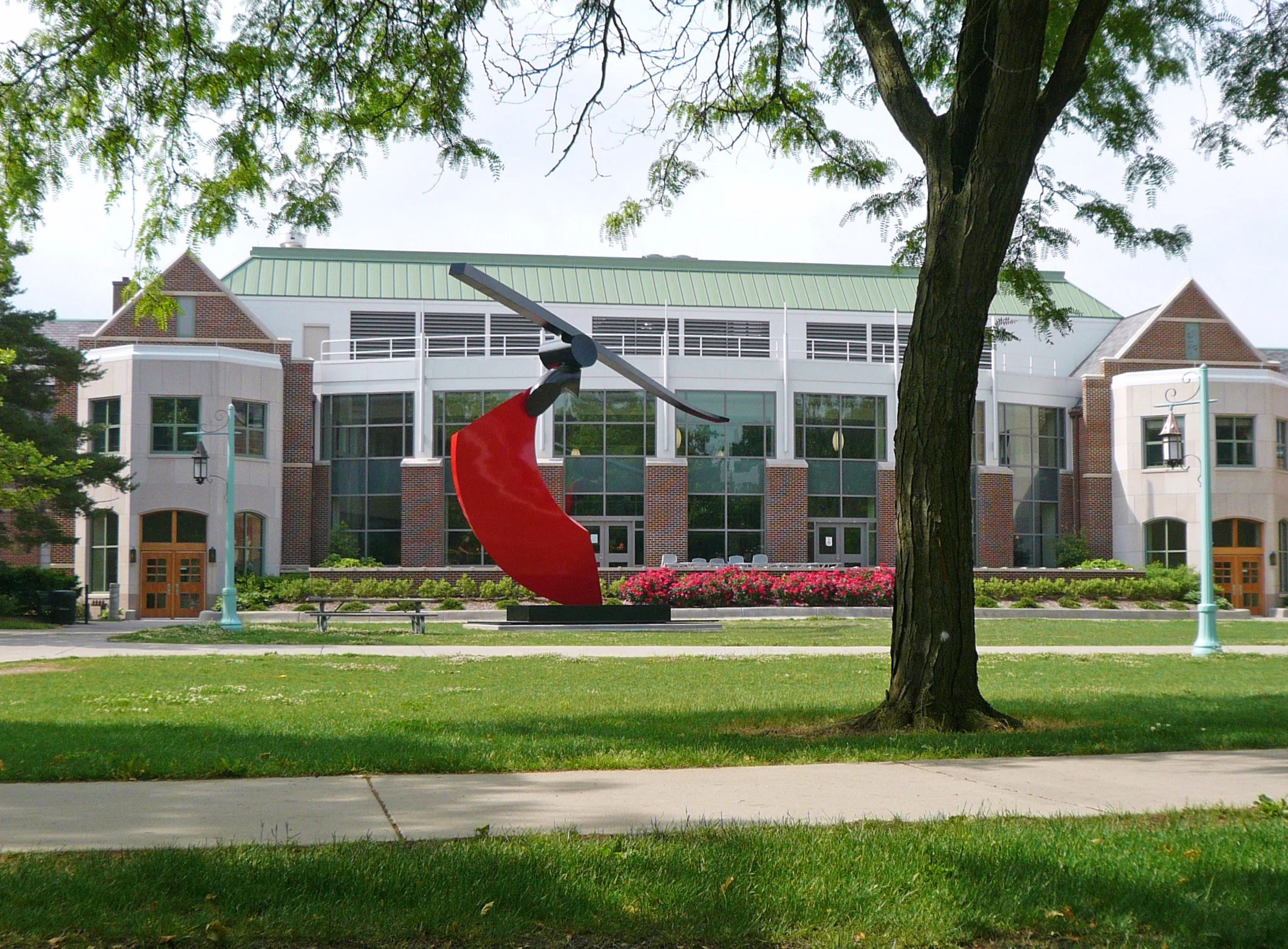 FIG17_T-09-37m Funambulist_MichStateU_tree.jpg