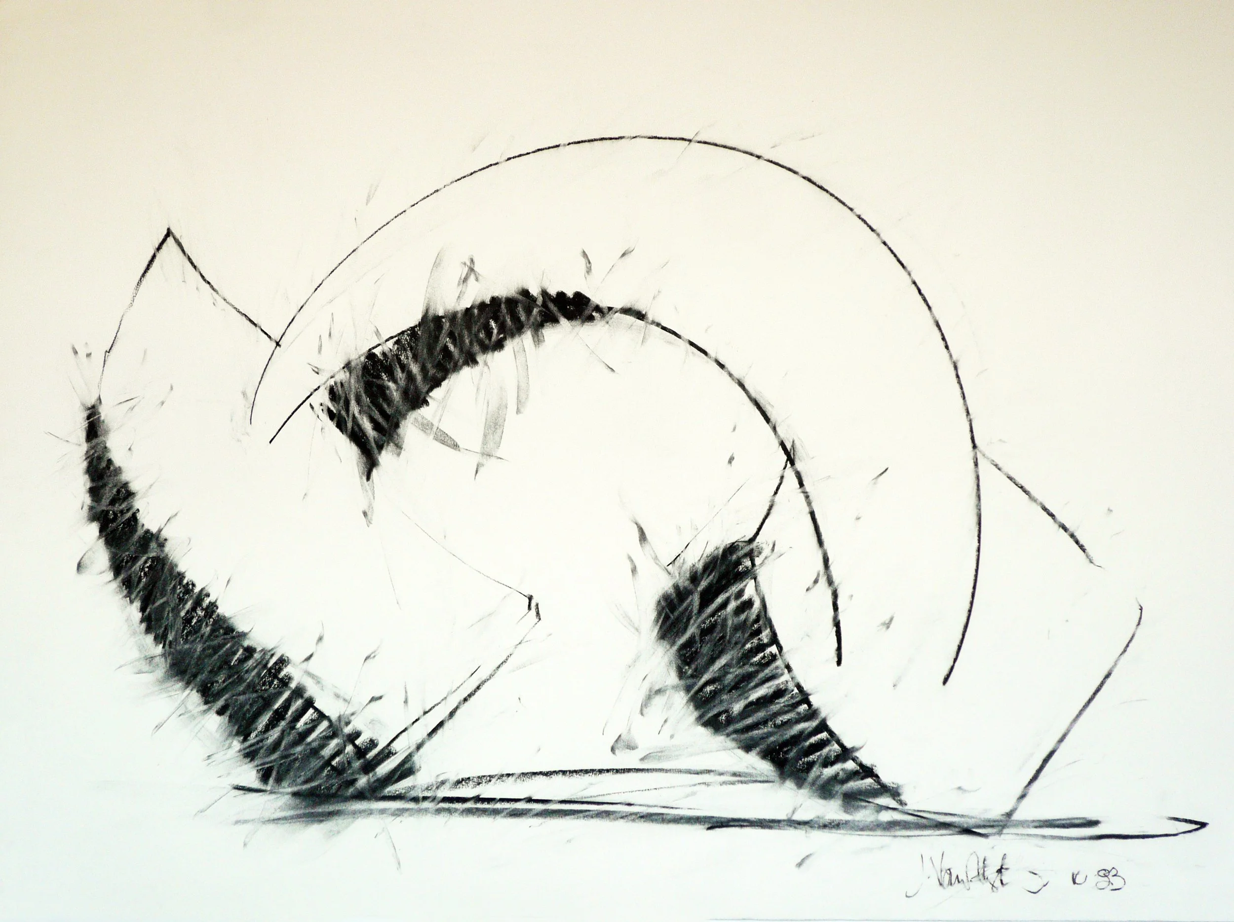 83_Rounder_bw_30x42.jpg