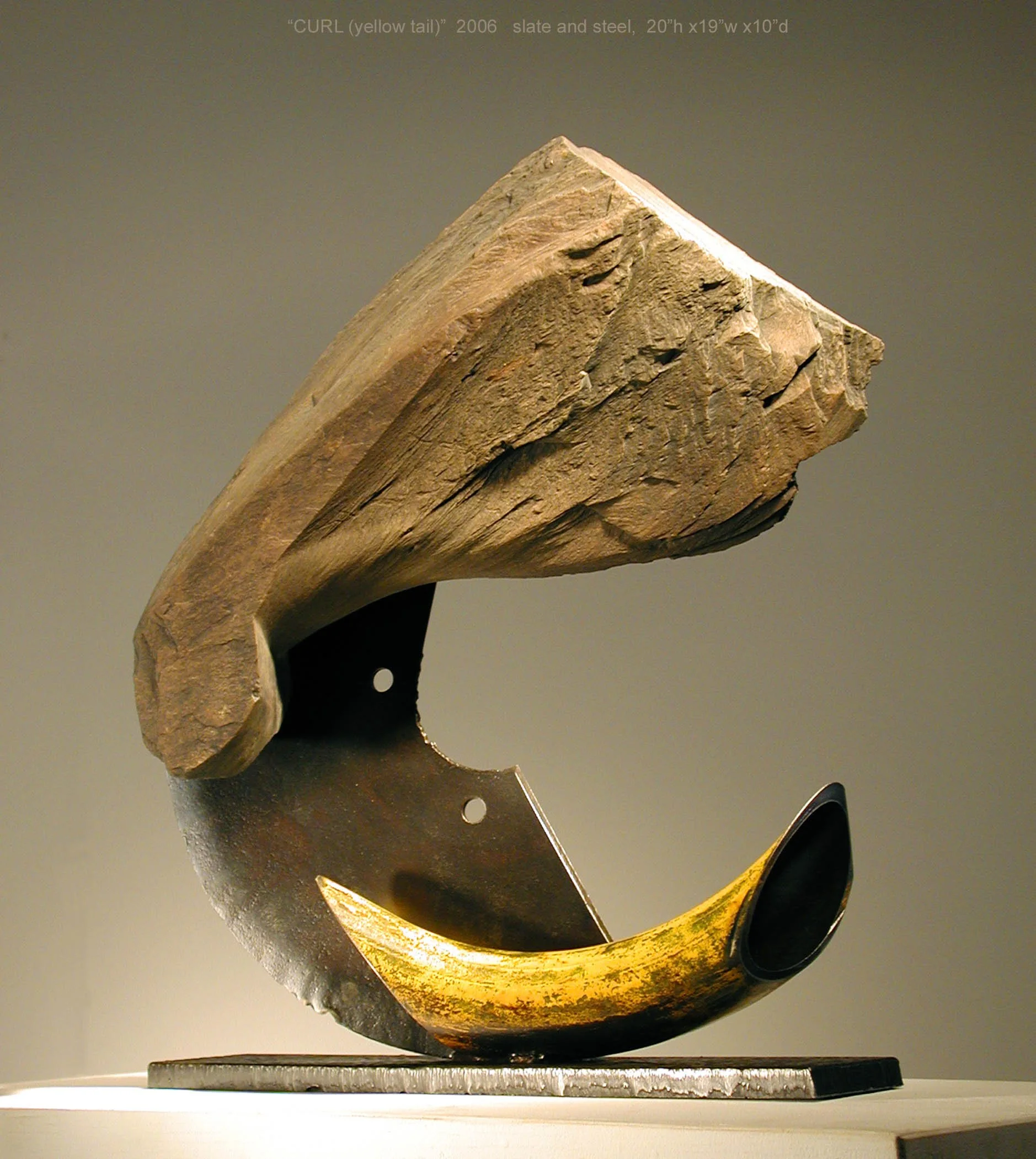Curl (Yellow Tail)