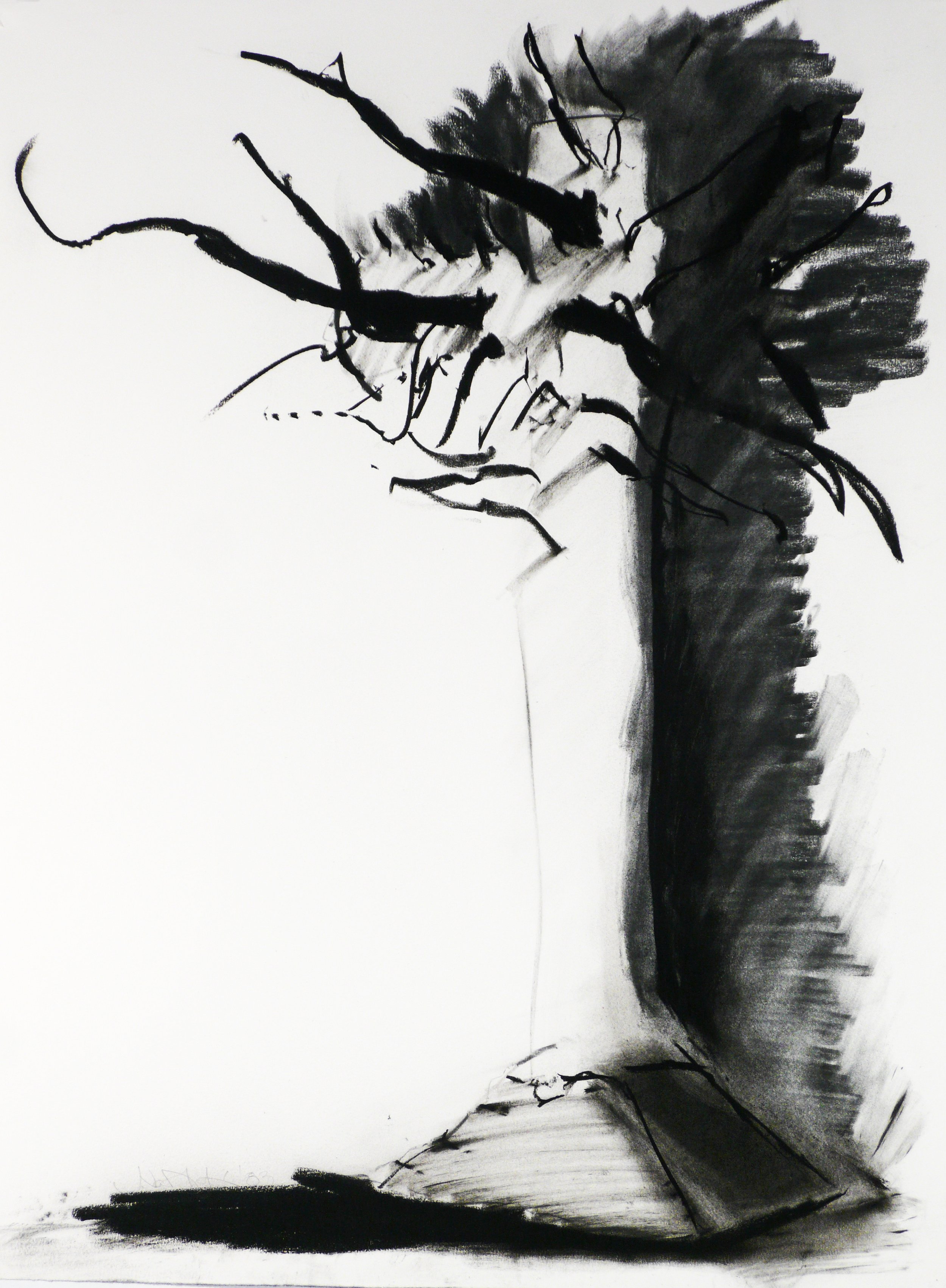 83_Branches_30x20.jpg