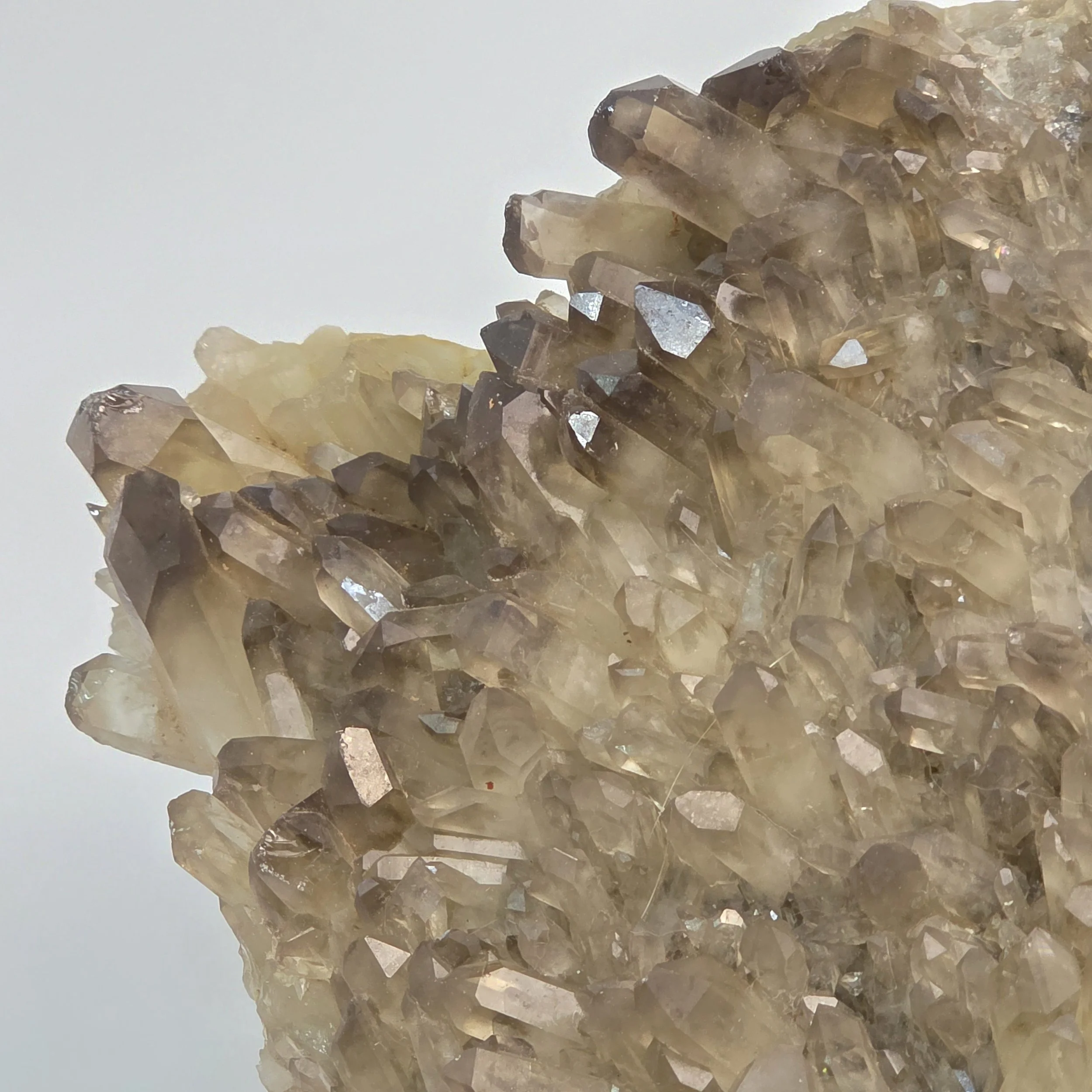 smoky citrine cluster 5.jpg