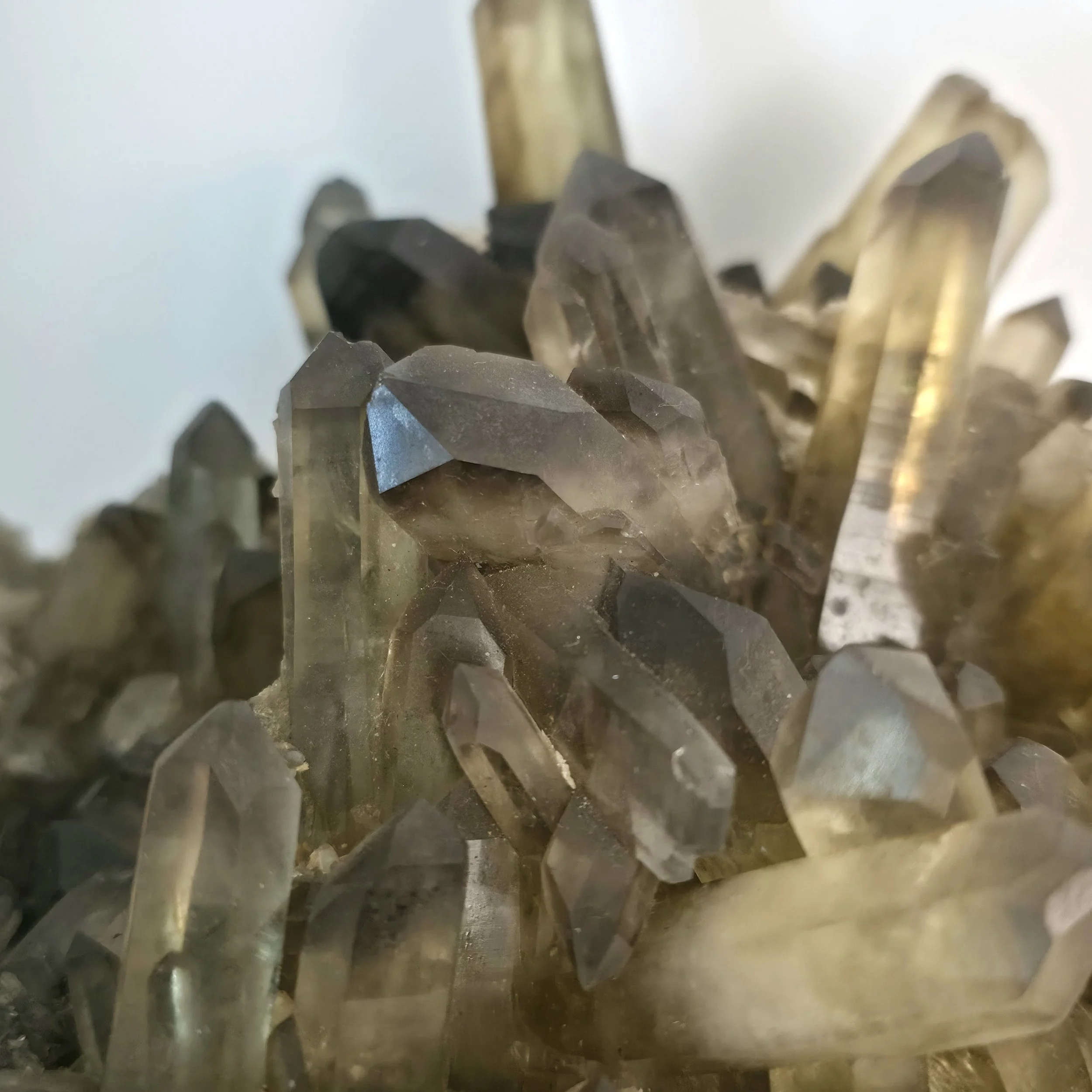 smoky citrine cluster 9.jpg