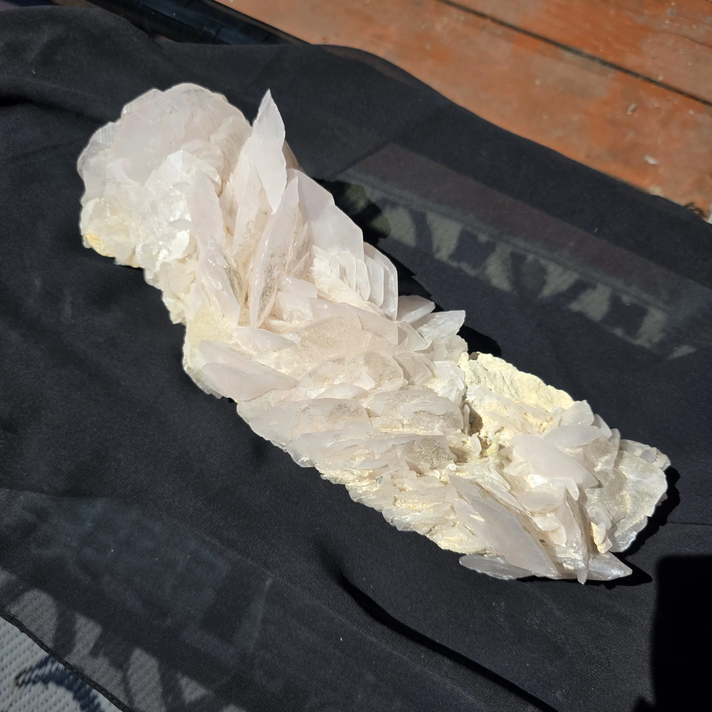 mangano petal calcite.jpg