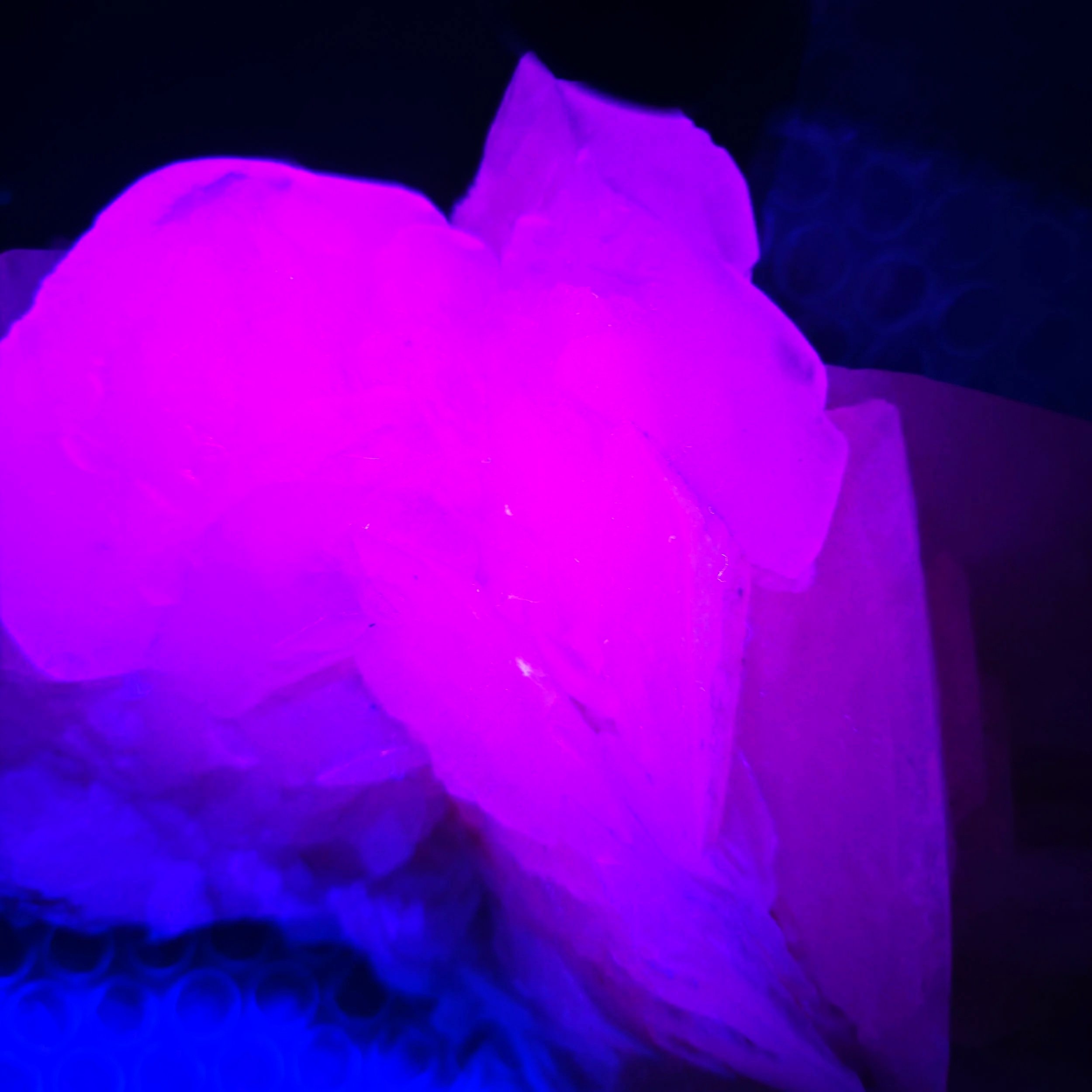 mangano petal calcite.jpg