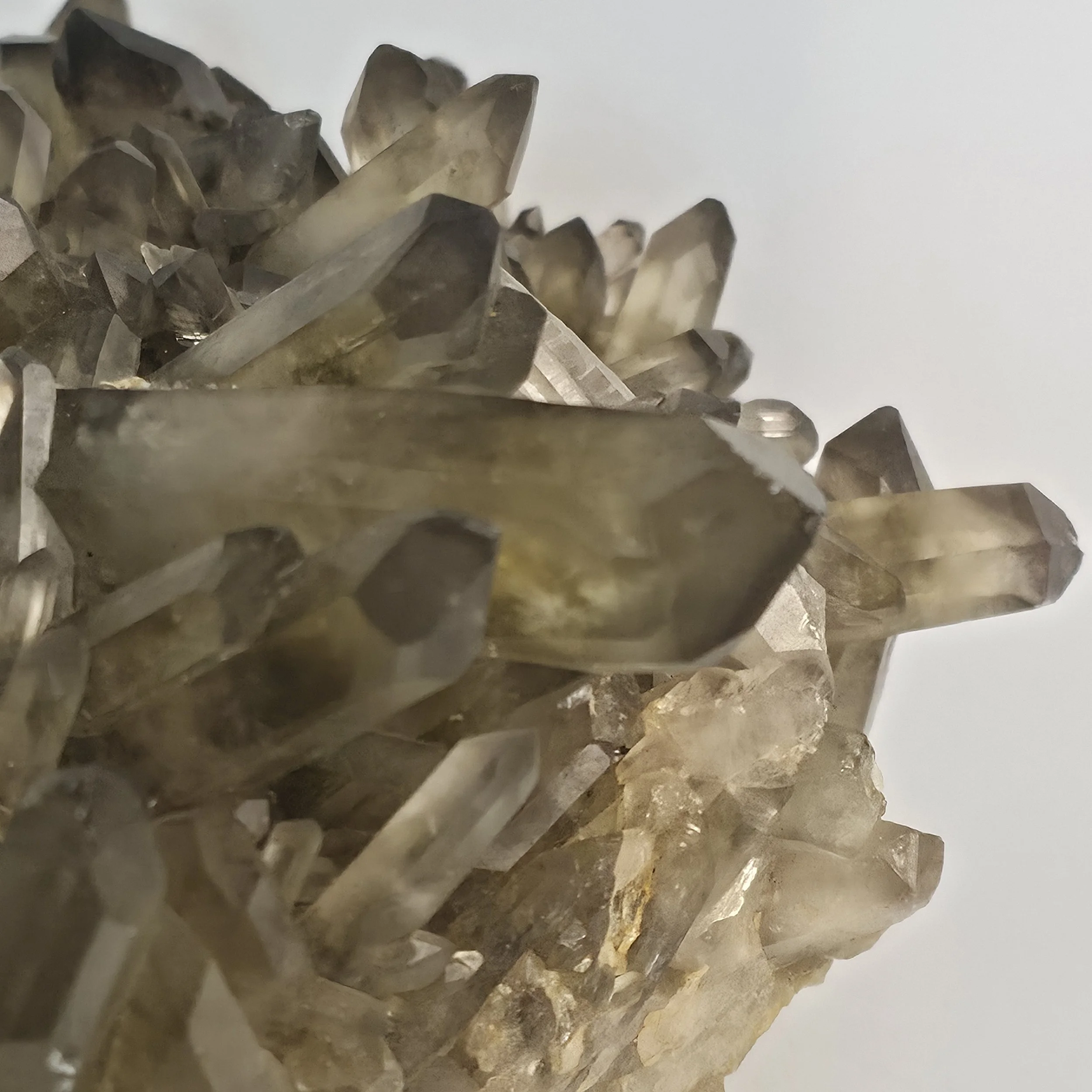 smoky citrine cluster 5.jpg