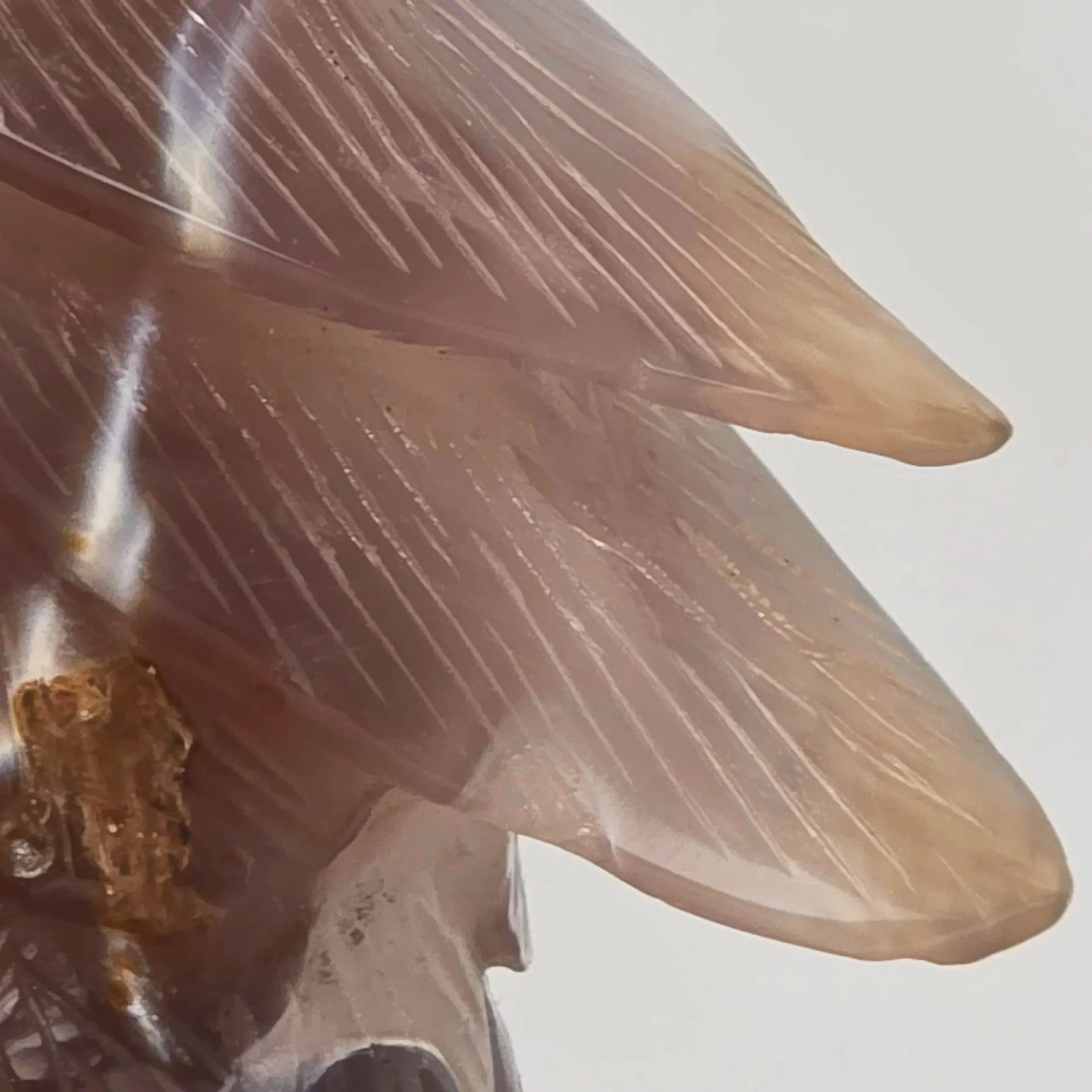 Agate druzy eagle.jpg