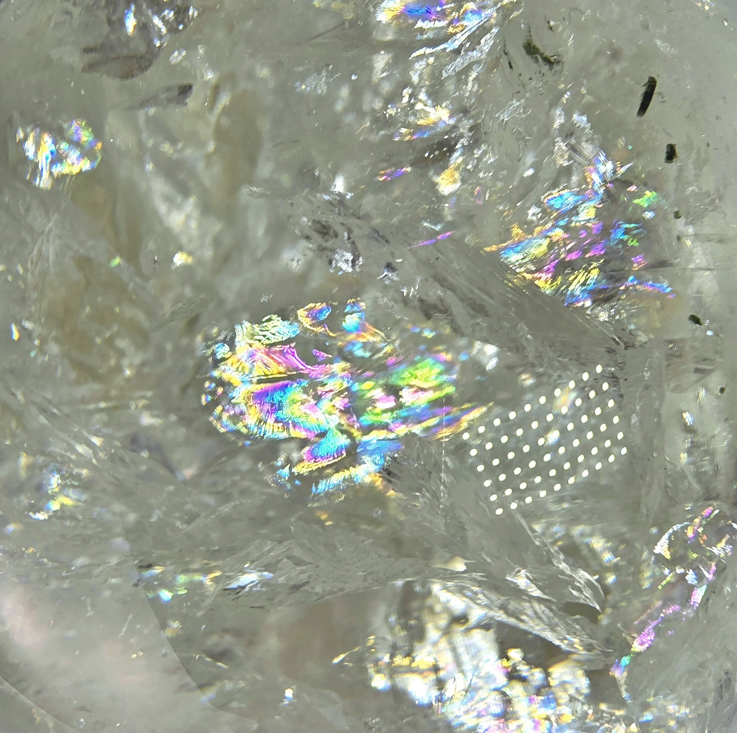 20260328_160402.jpg