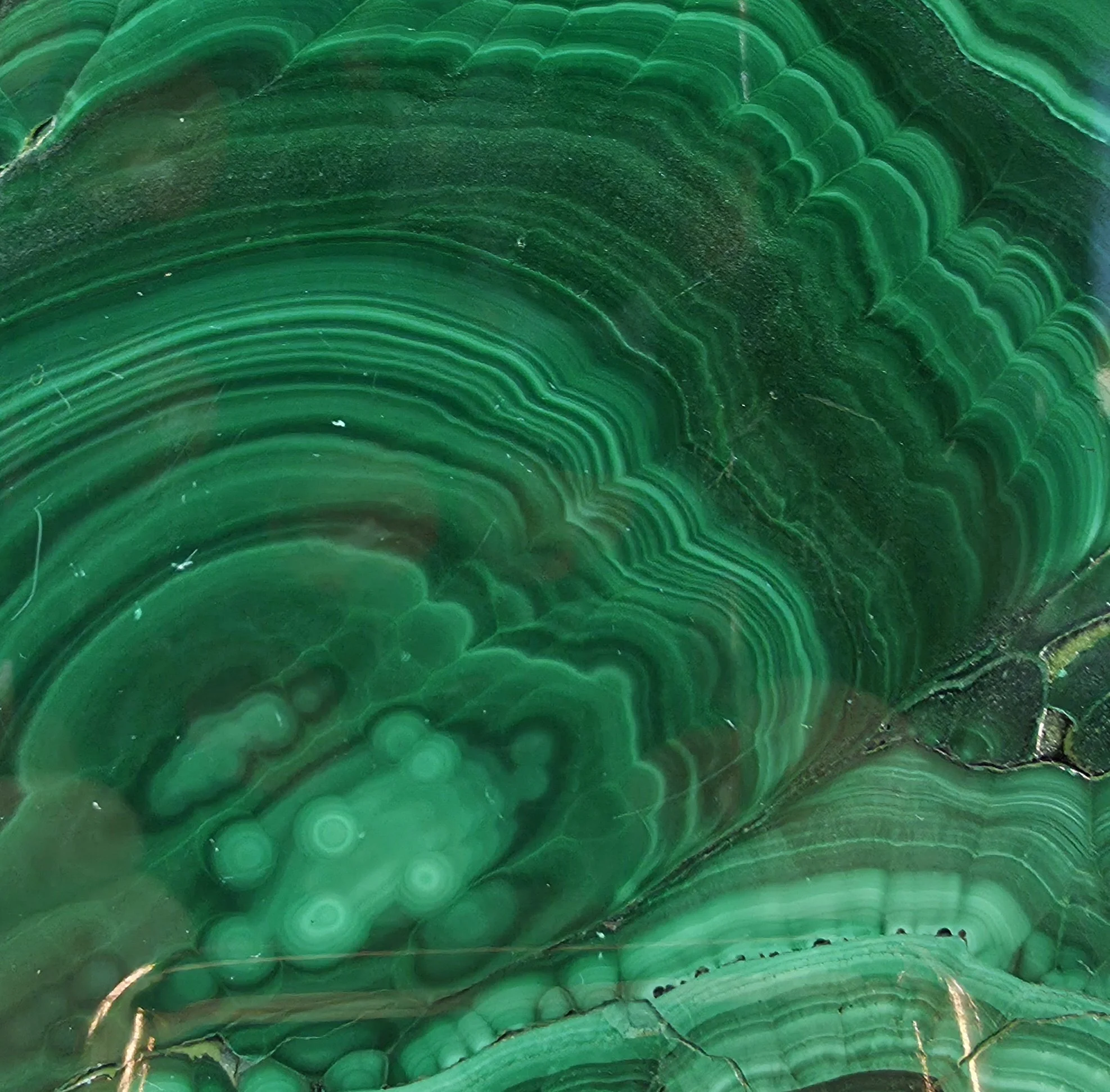 20261017_150113.jpg