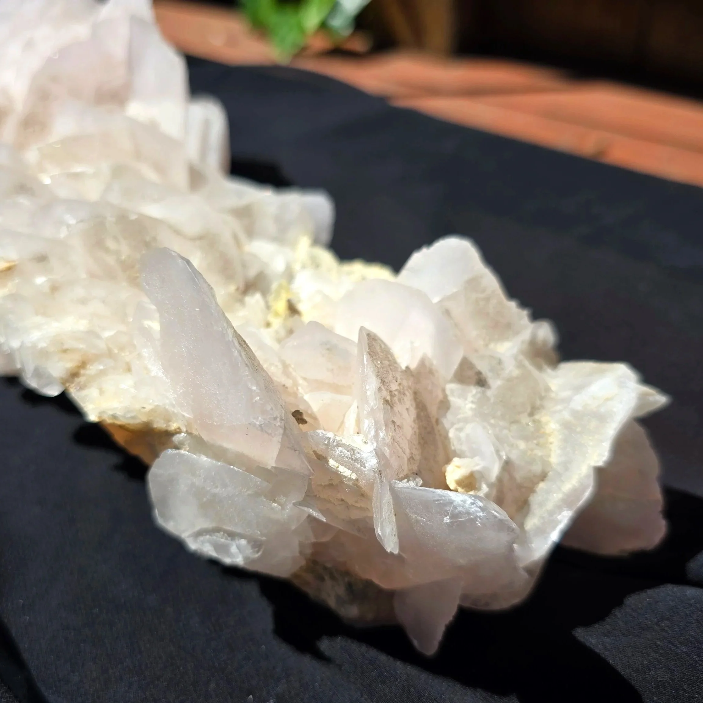 mangano petal calcite.jpg