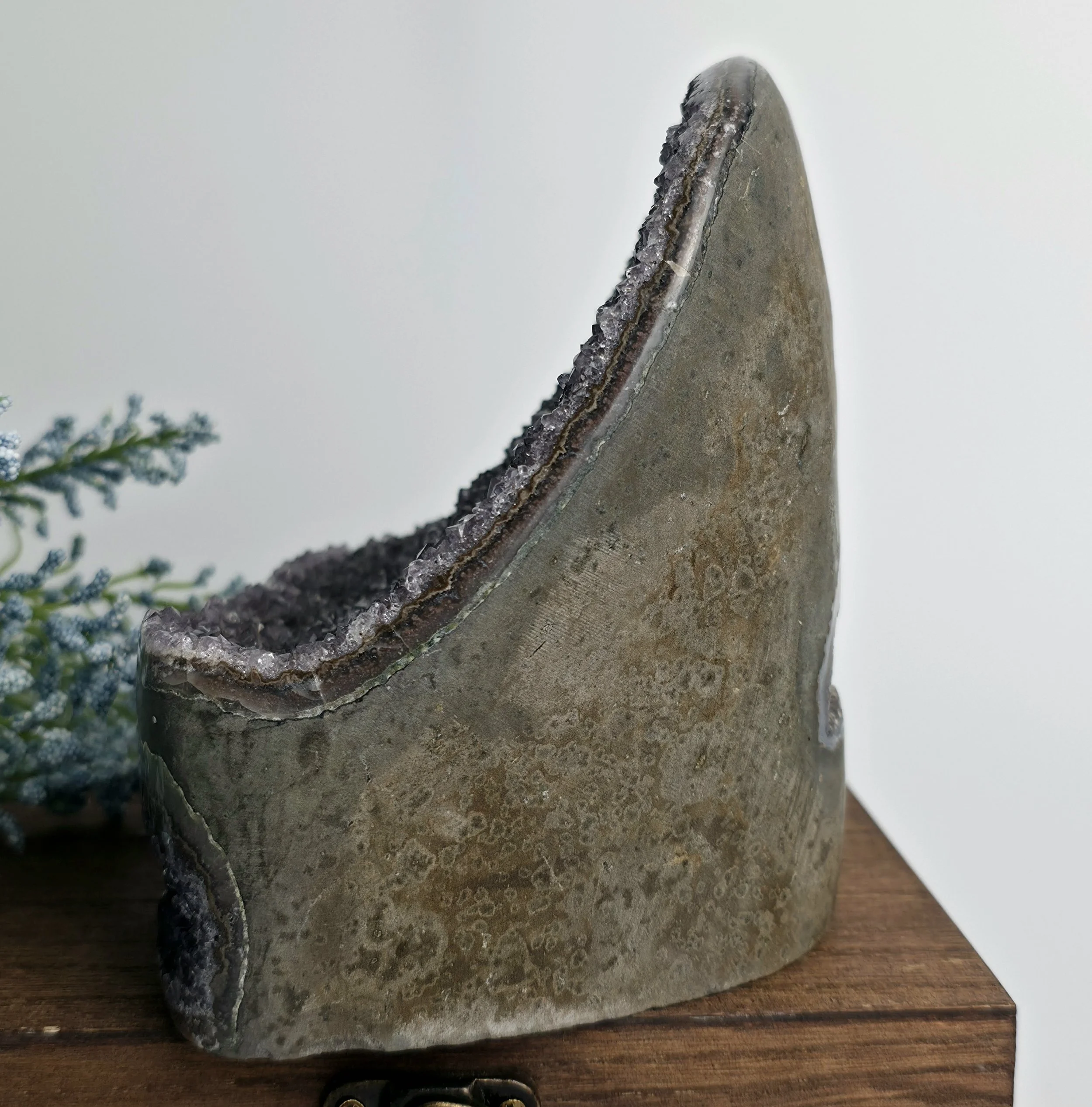 amethyst geode.jpg