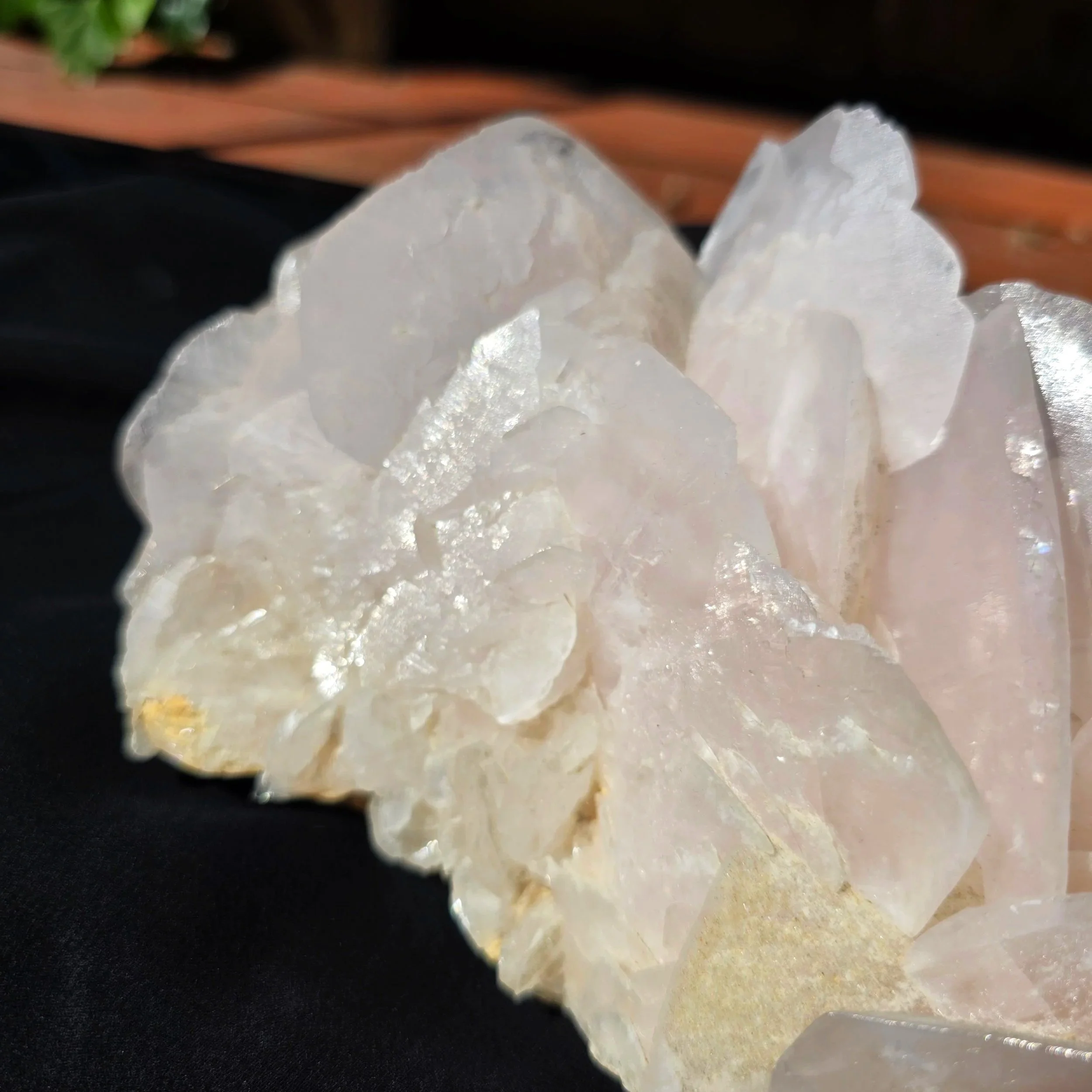mangano petal calcite.jpg