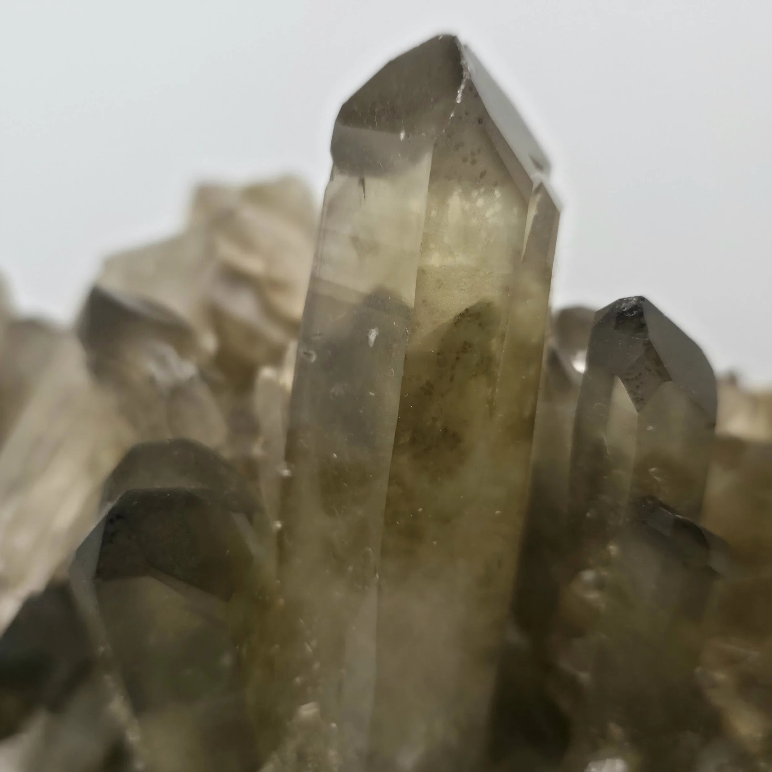 smoky citrine cluster 8.jpg