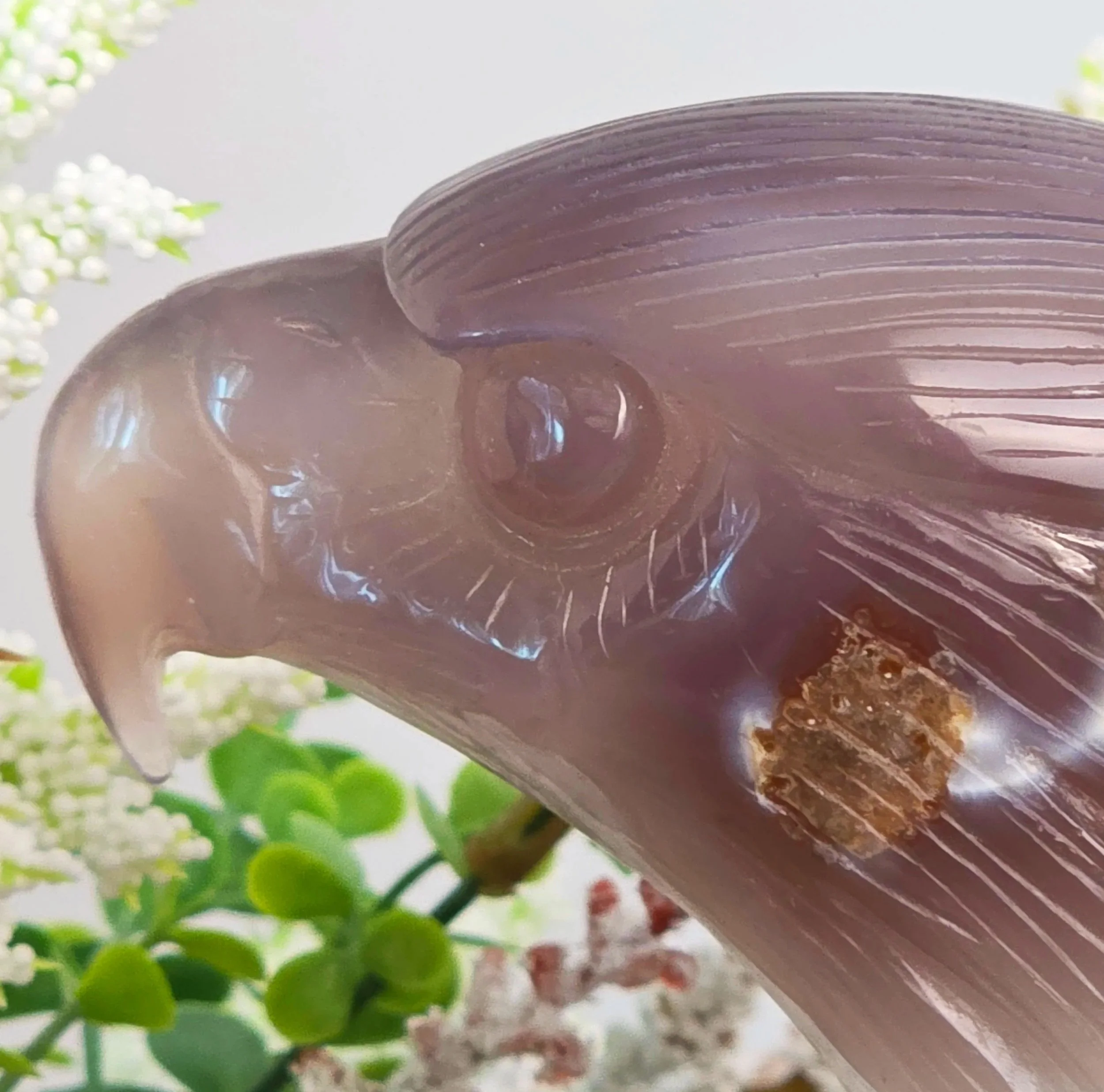 Agate druzy eagle.jpg