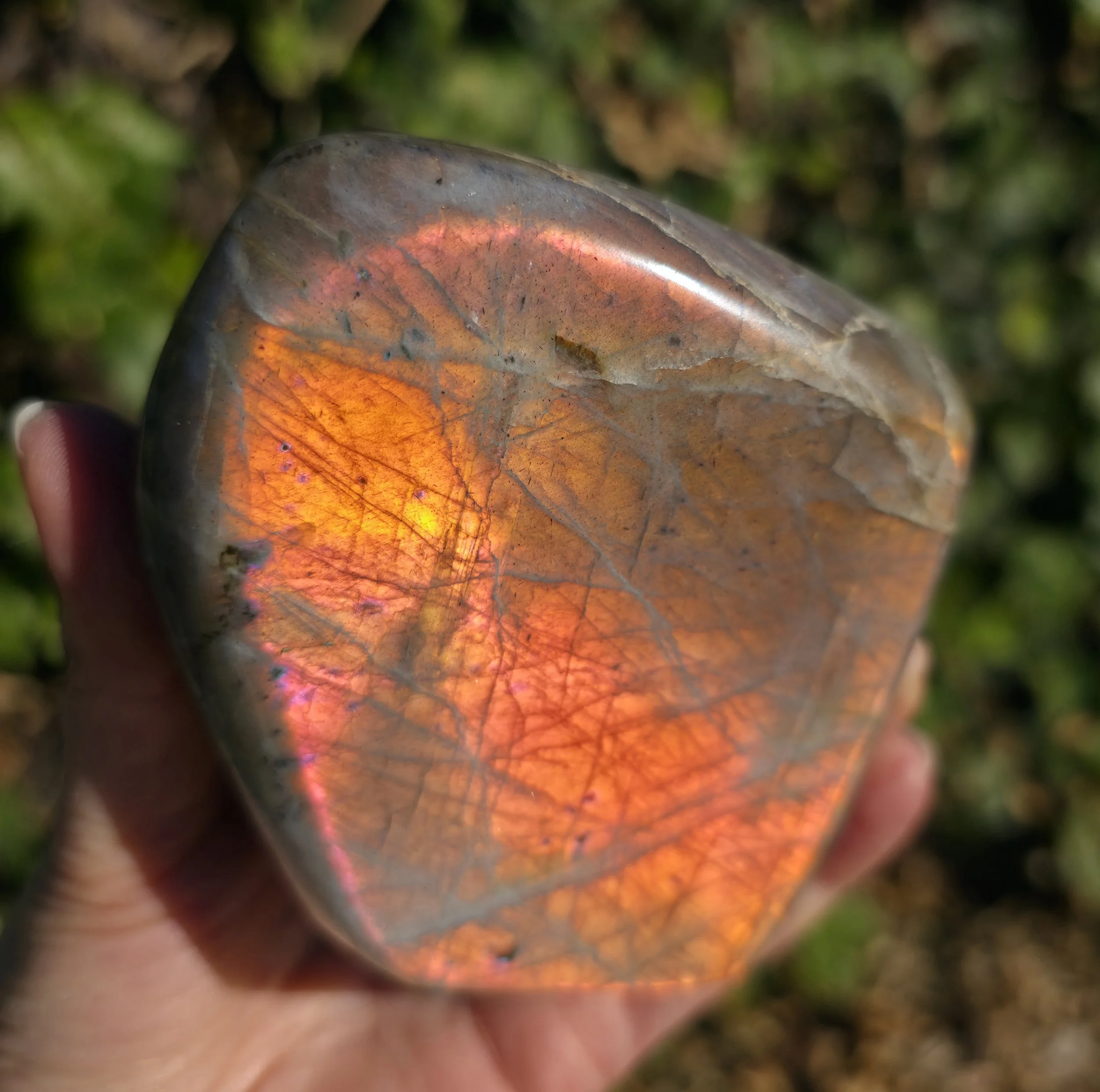 Sunset Labradorite Freeform