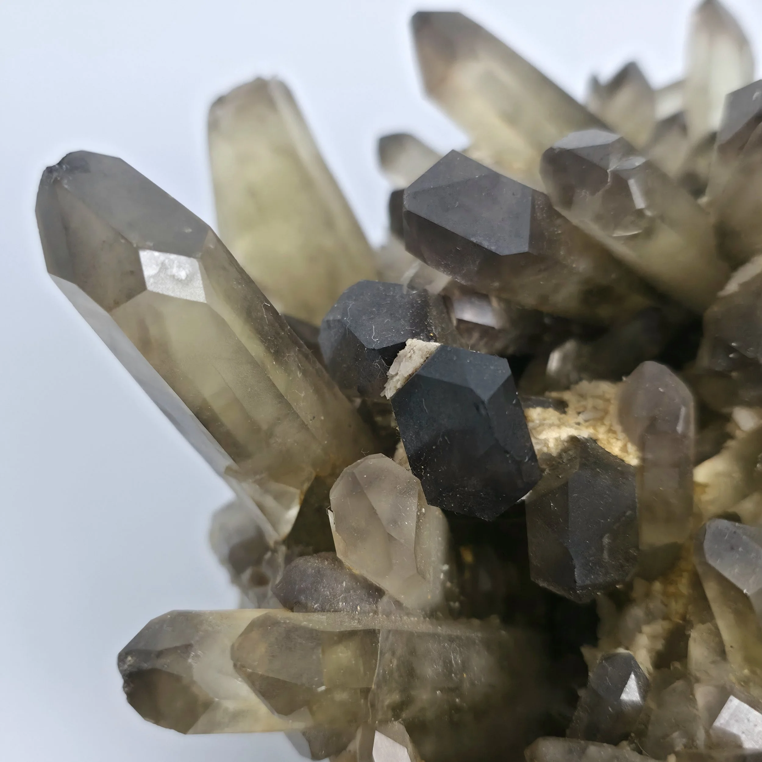 smoky citrine cluster 11.jpg