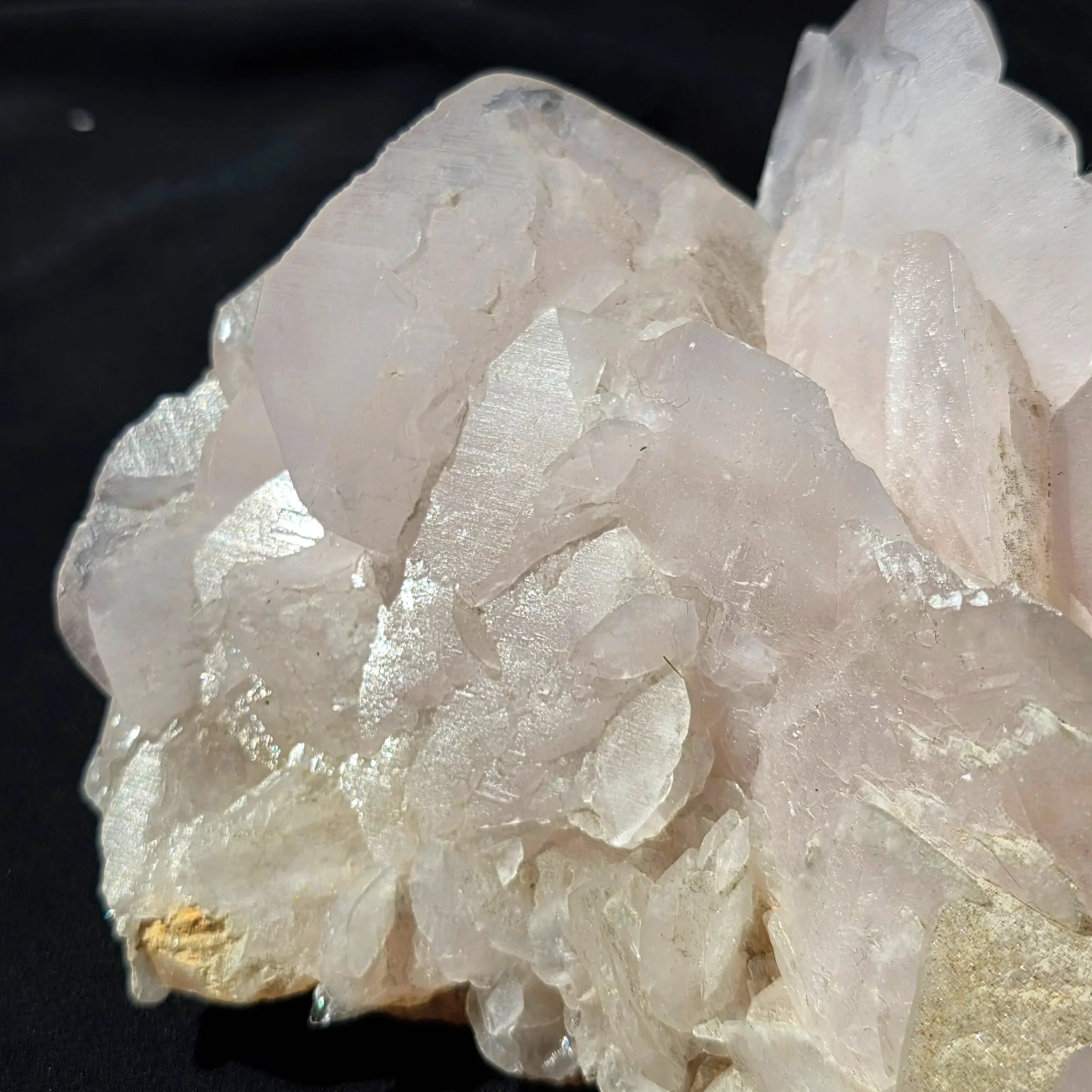 mangano petal calcite.jpg