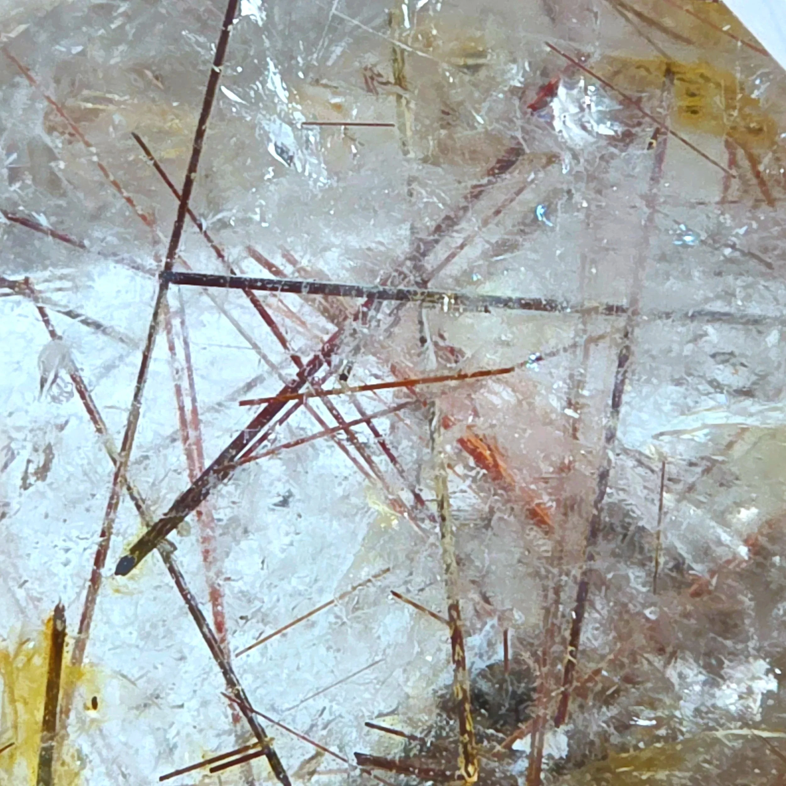 20260526_133515.jpg