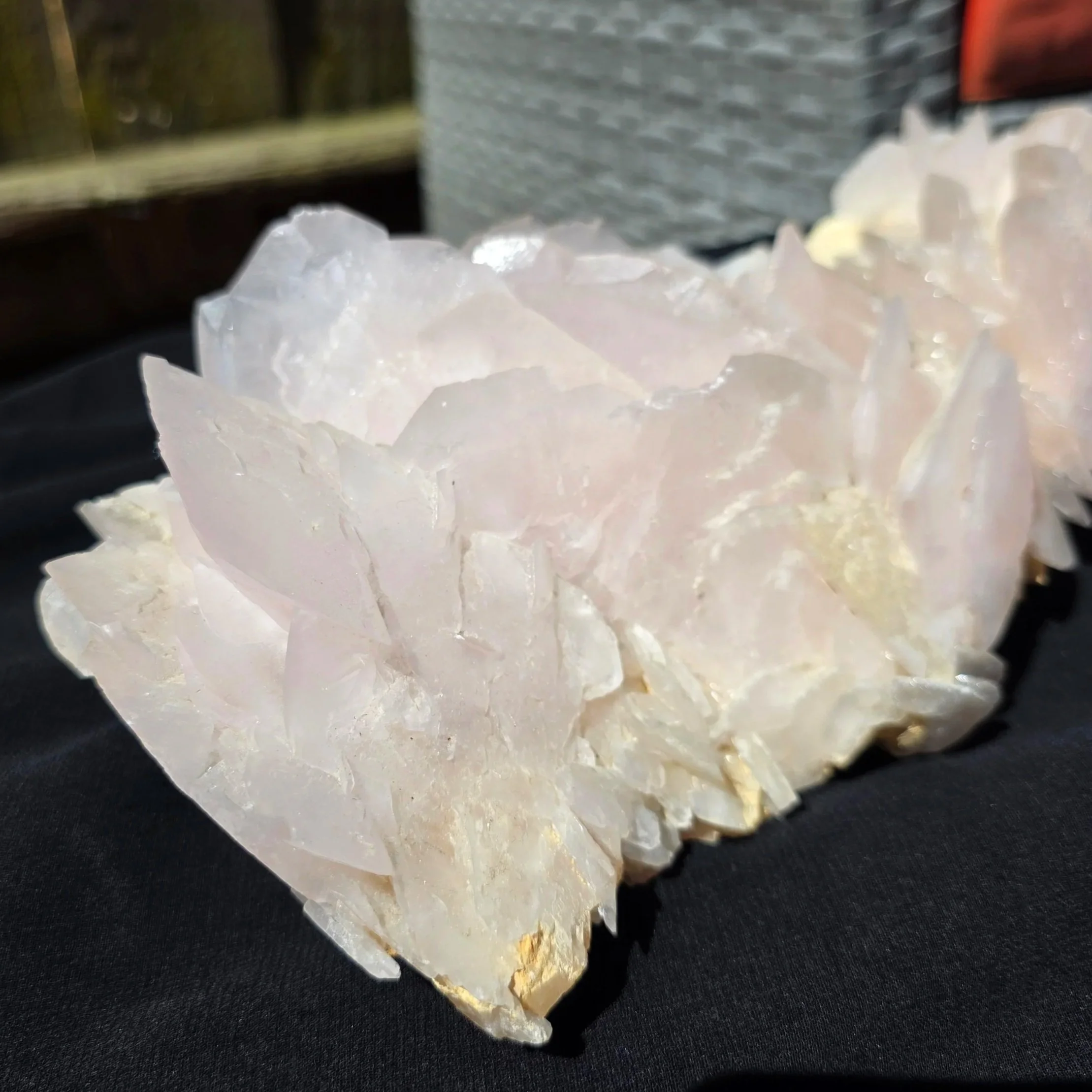 mangano petal calcite.jpg