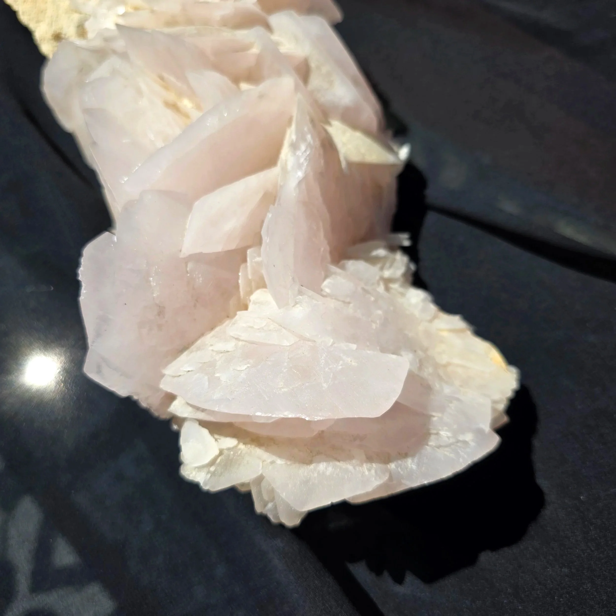 mangano petal calcite.jpg