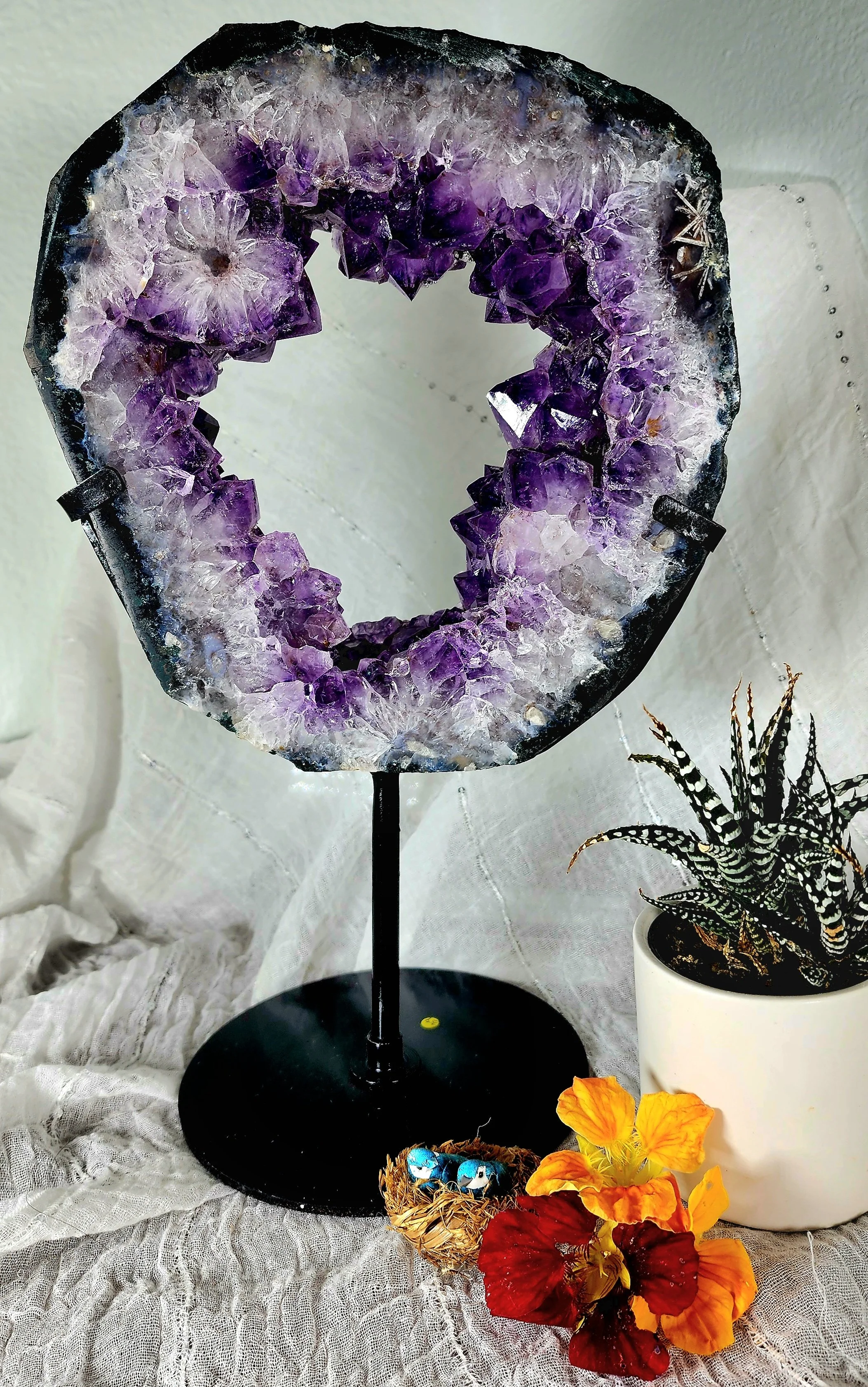 Brazilian Amethyst Geode Ring on Custom Black Metal Stand