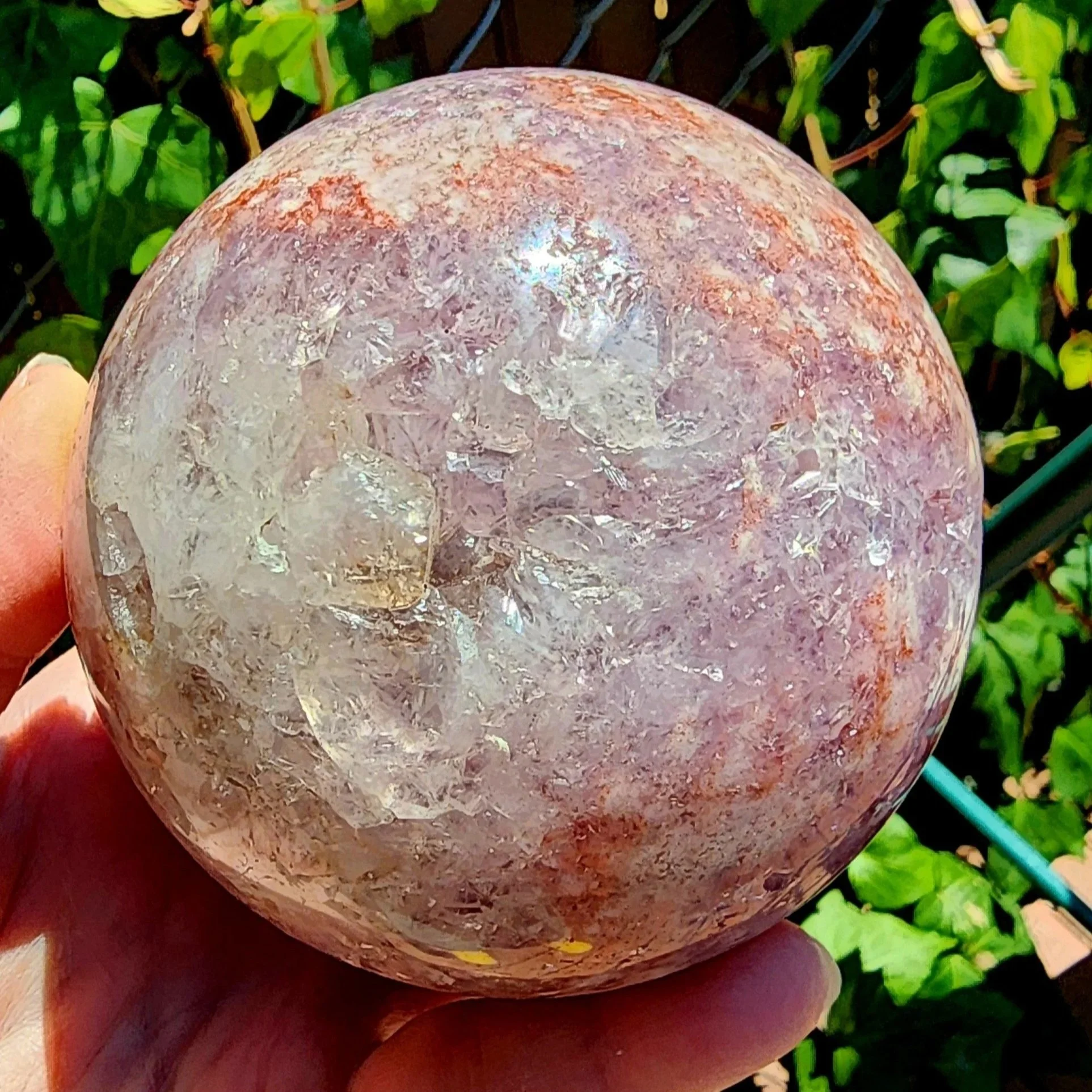 20250623_133947.jpg