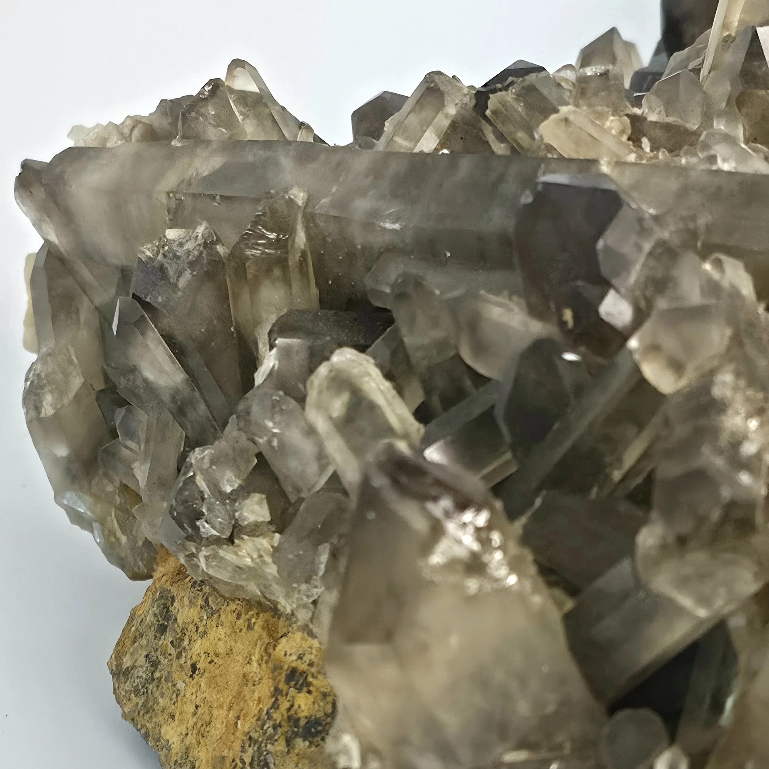smoky citrine cluster 6.jpg