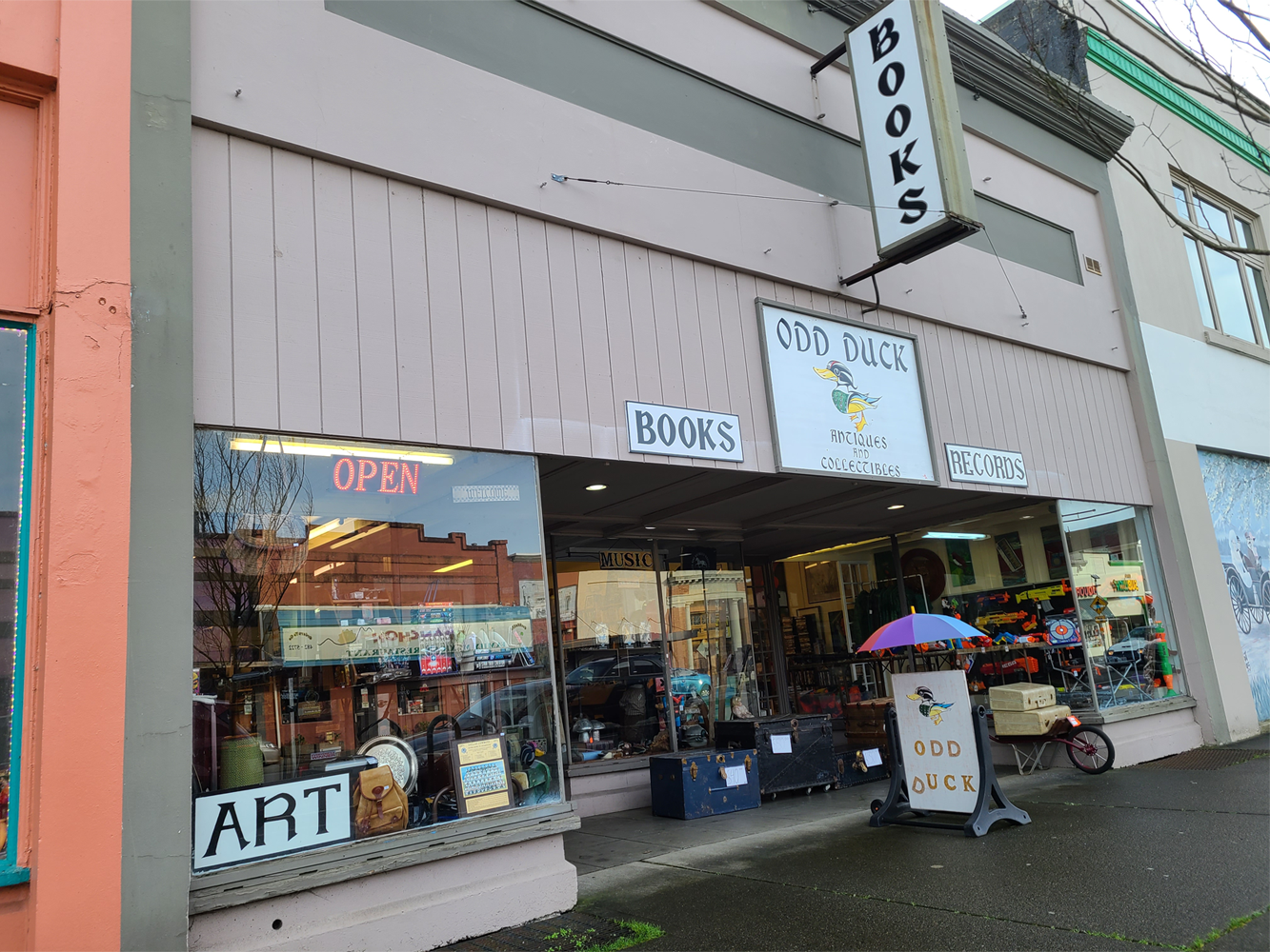 Exterior view of a bookstore named Odd Duck Books, with signs indicating 'Books,' 'Art,' 'Antiques,' 'Collectibles' and 'Records'. The store has large display windows with various items inside, and a small sidewalk sign.