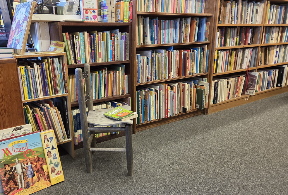 Shelves of books filled with children's and young adult books, as wells as children's toys, and stuffed animals on the floor. There are chairs, a small white bookshelf, and a window in the background, creating a warm and inviting atmosphere.