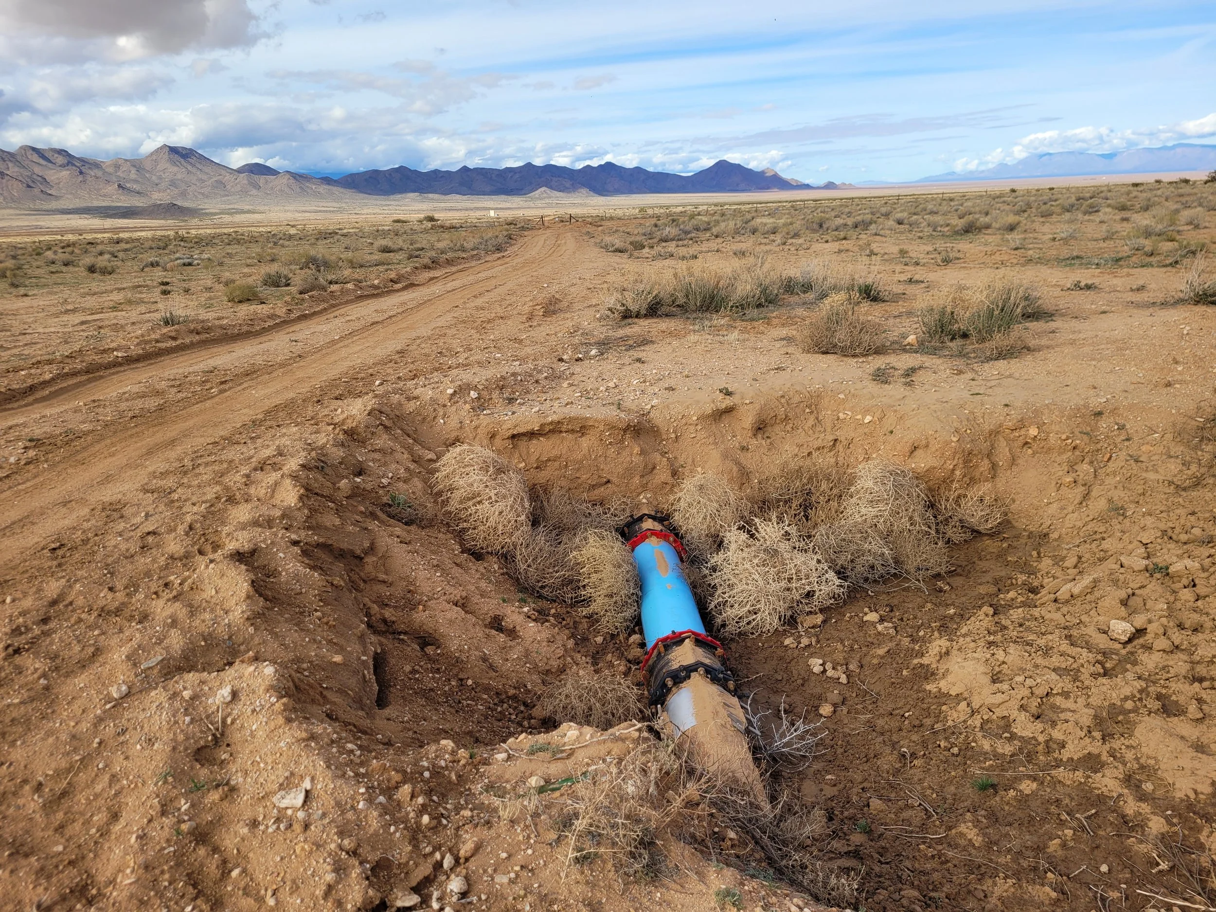 How to Choose an Archaeological Contractor