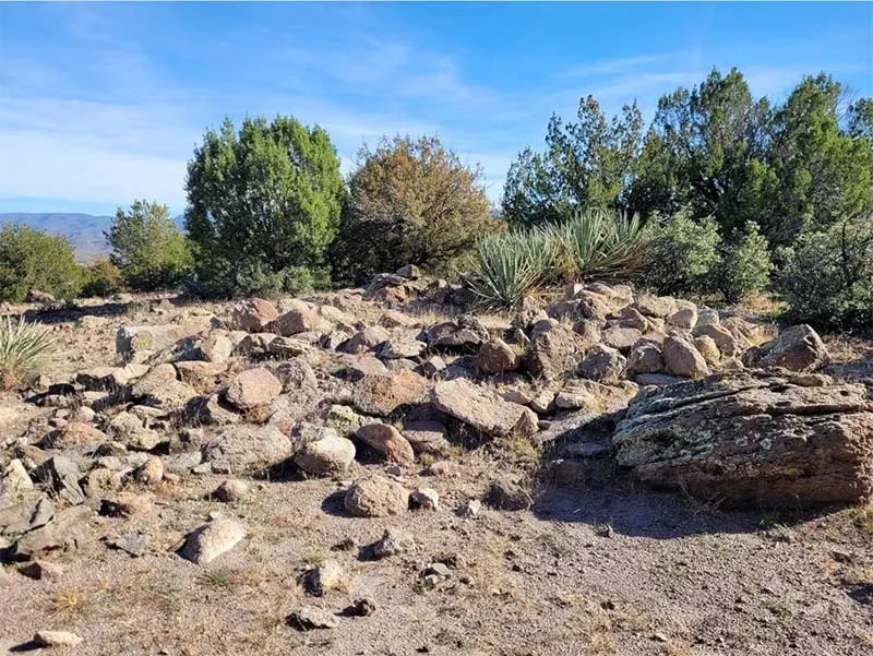 Arizona desert landscape with scattered rocks, desert shrubs, and green bushes under a blue sky.
