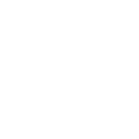 Icon of a document with charts and a gear symbol, representing survey services.